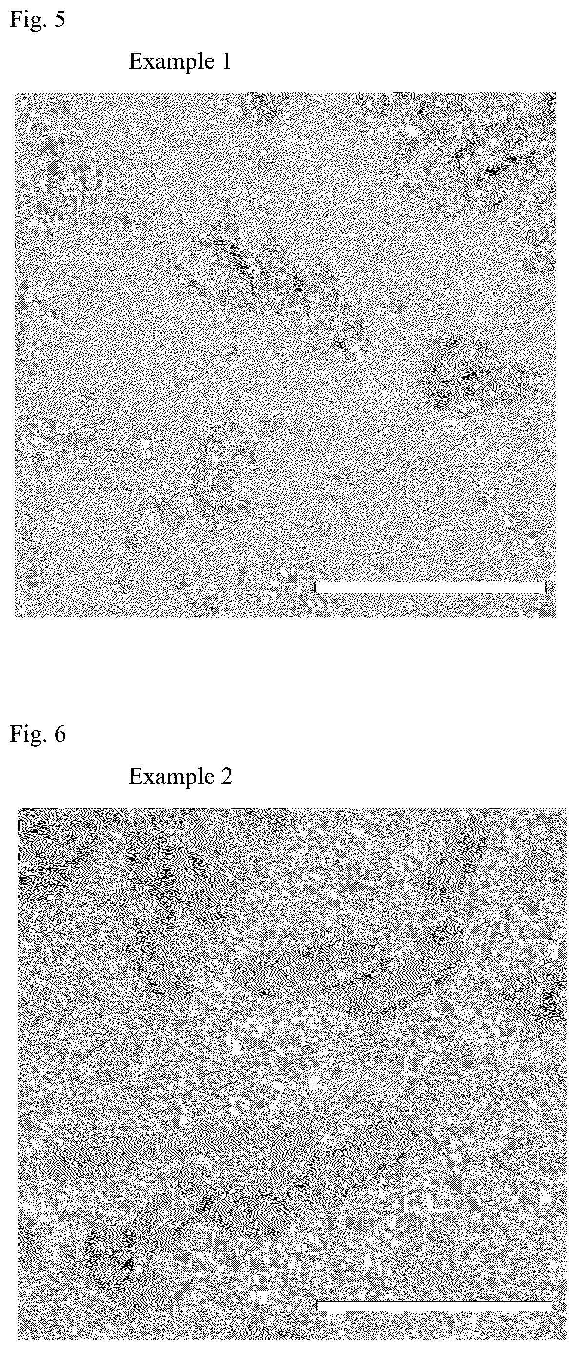 Patent US12351854 Figure 3 – Transformed microorganism and method of producing polyhydroxyalkanoate using the microorganism