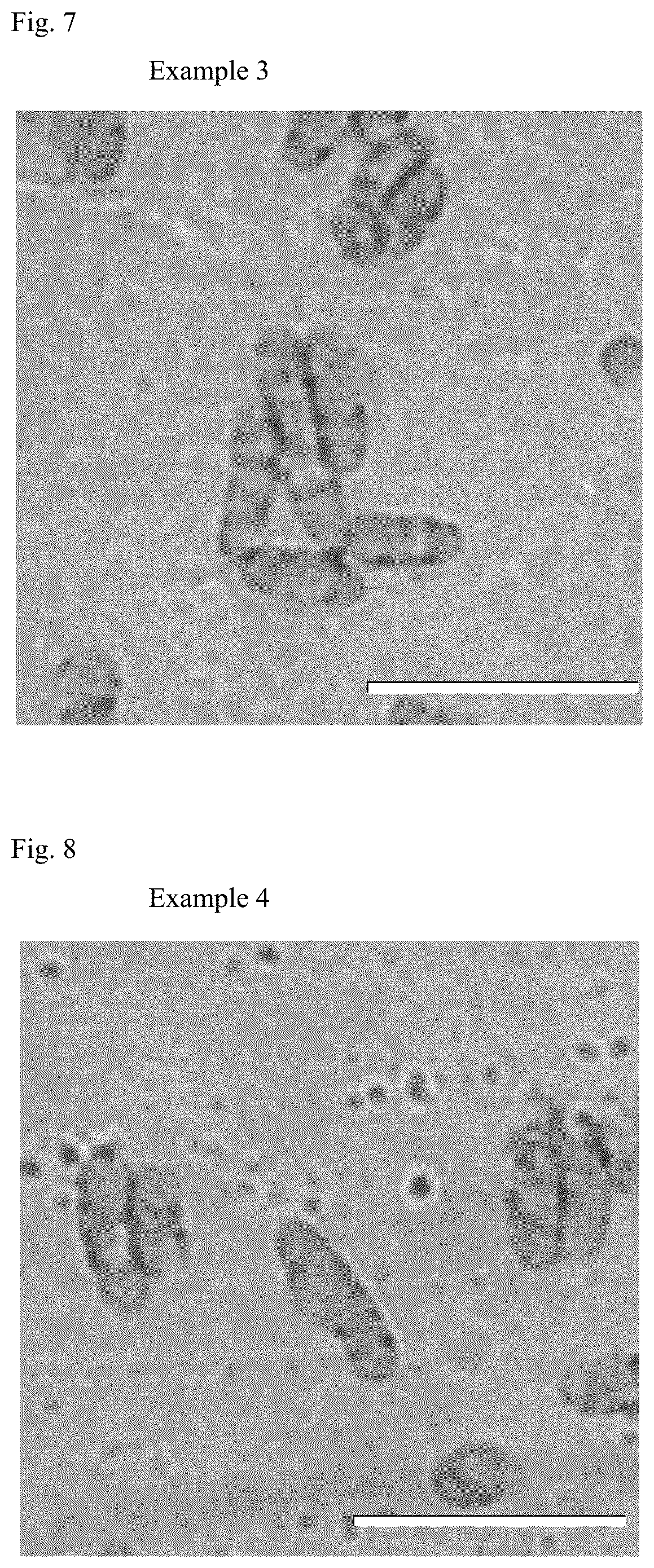 Patent US12351854 Figure 4 – Transformed microorganism and method of producing polyhydroxyalkanoate using the microorganism