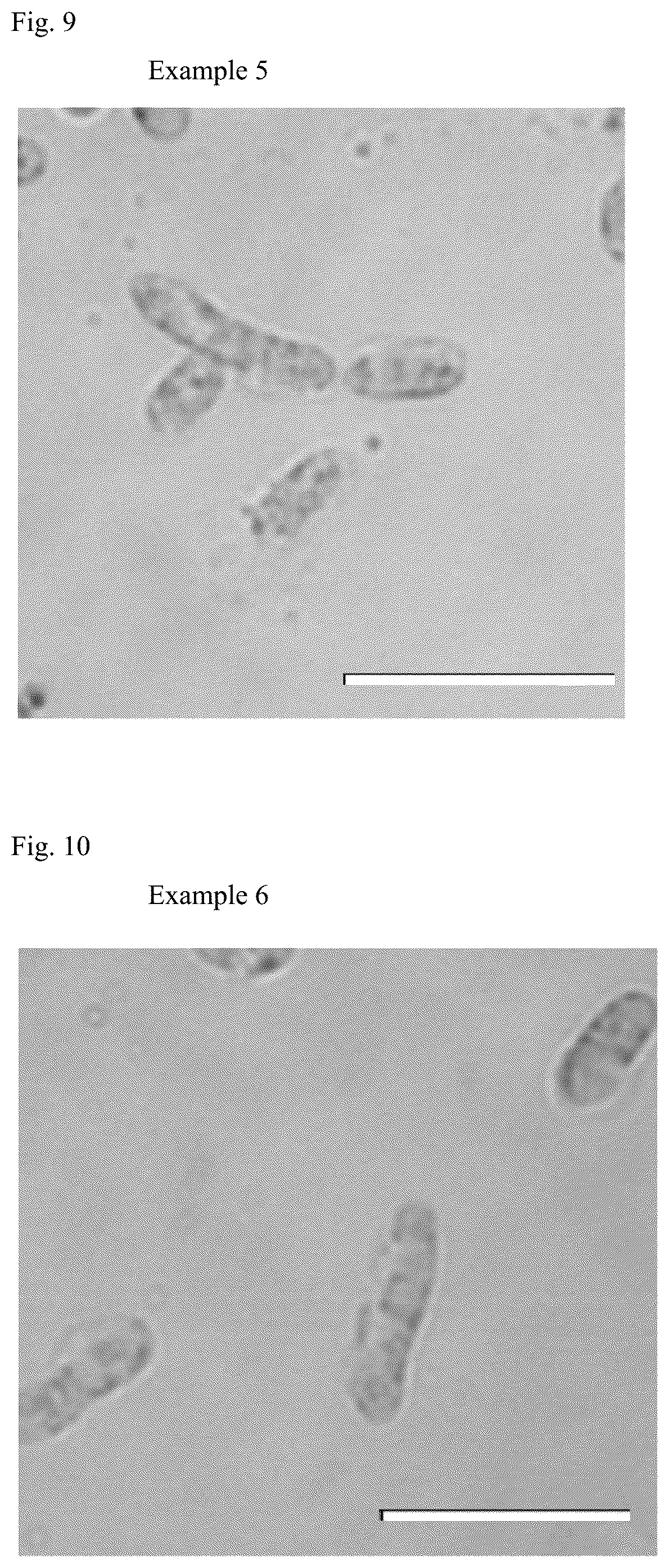 Patent US12351854 Figure 5 – Transformed microorganism and method of producing polyhydroxyalkanoate using the microorganism