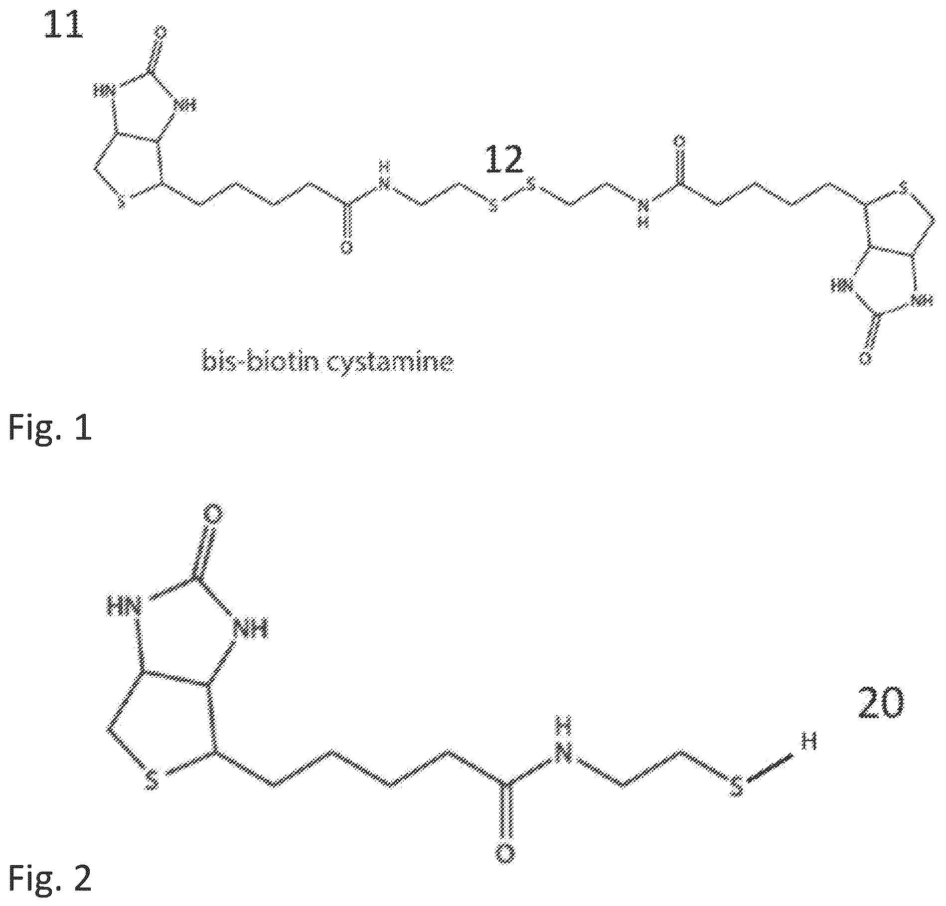 Patent US12351855 Figure 1 – Bioelectronic circuits, systems and methods for preparing and using them
