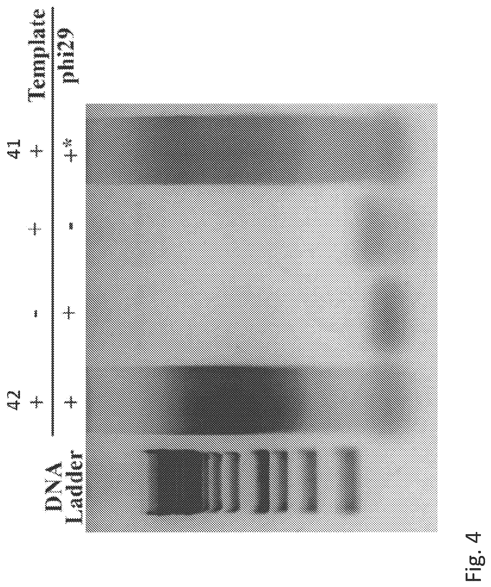 Patent US12351855 Figure 3 – Bioelectronic circuits, systems and methods for preparing and using them