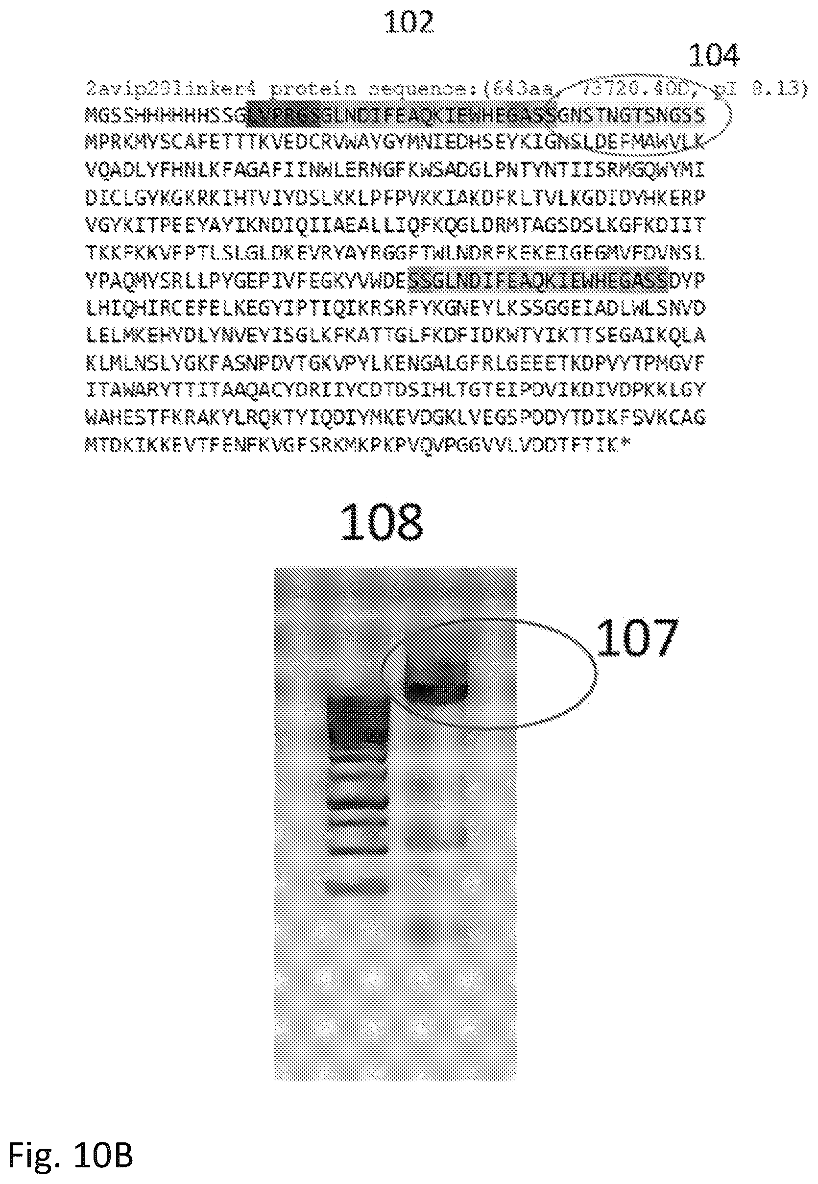 Patent US12351855 Figure 14 – Bioelectronic circuits, systems and methods for preparing and using them