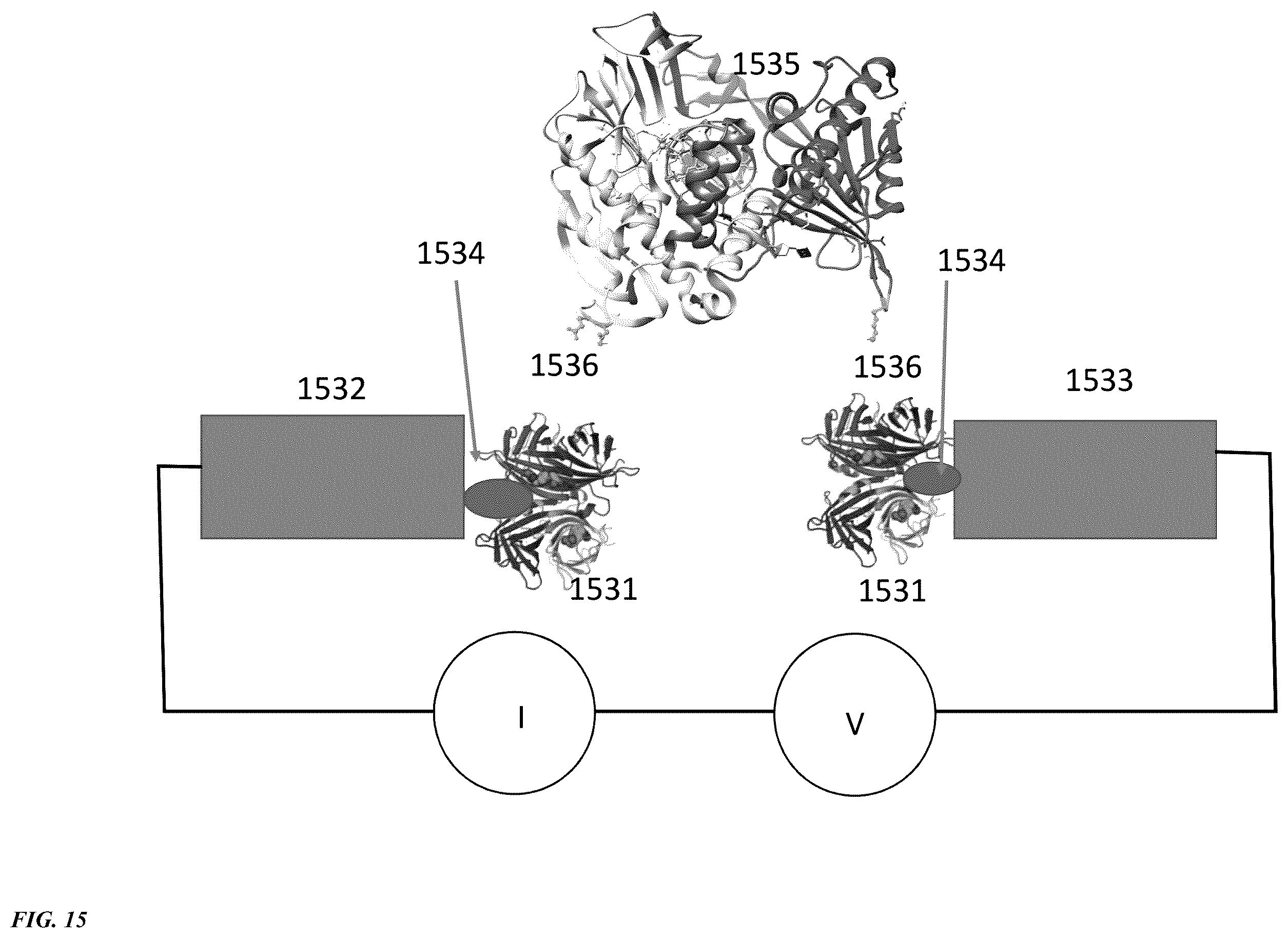 Patent US12351855 Figure 20 – Bioelectronic circuits, systems and methods for preparing and using them
