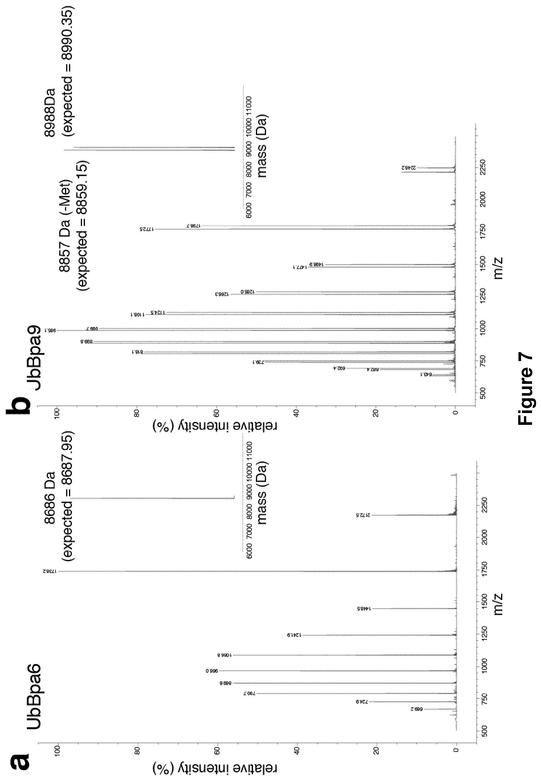 Patent US12351857 Figure 11 – Activity based probes
