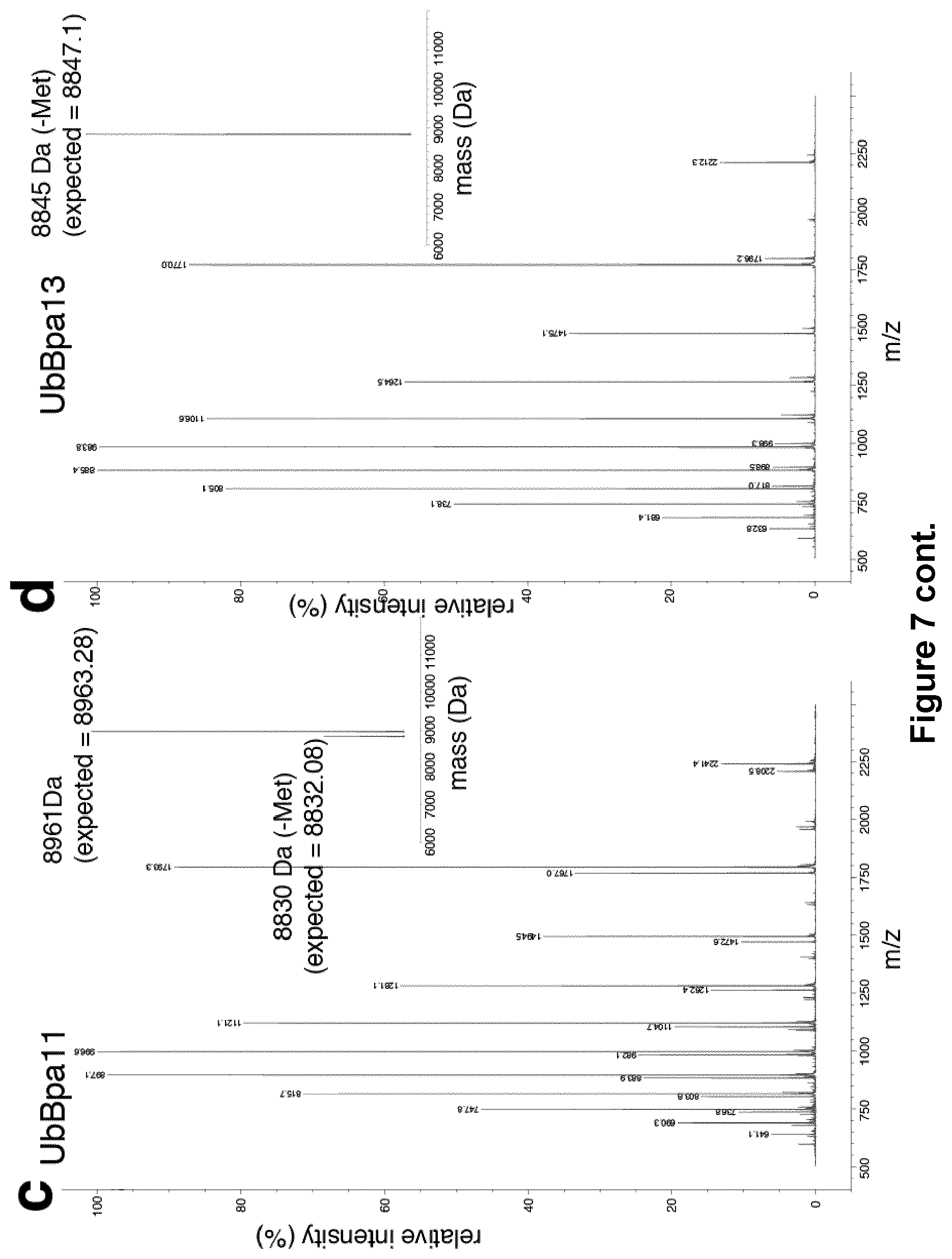 Patent US12351857 Figure 12 – Activity based probes