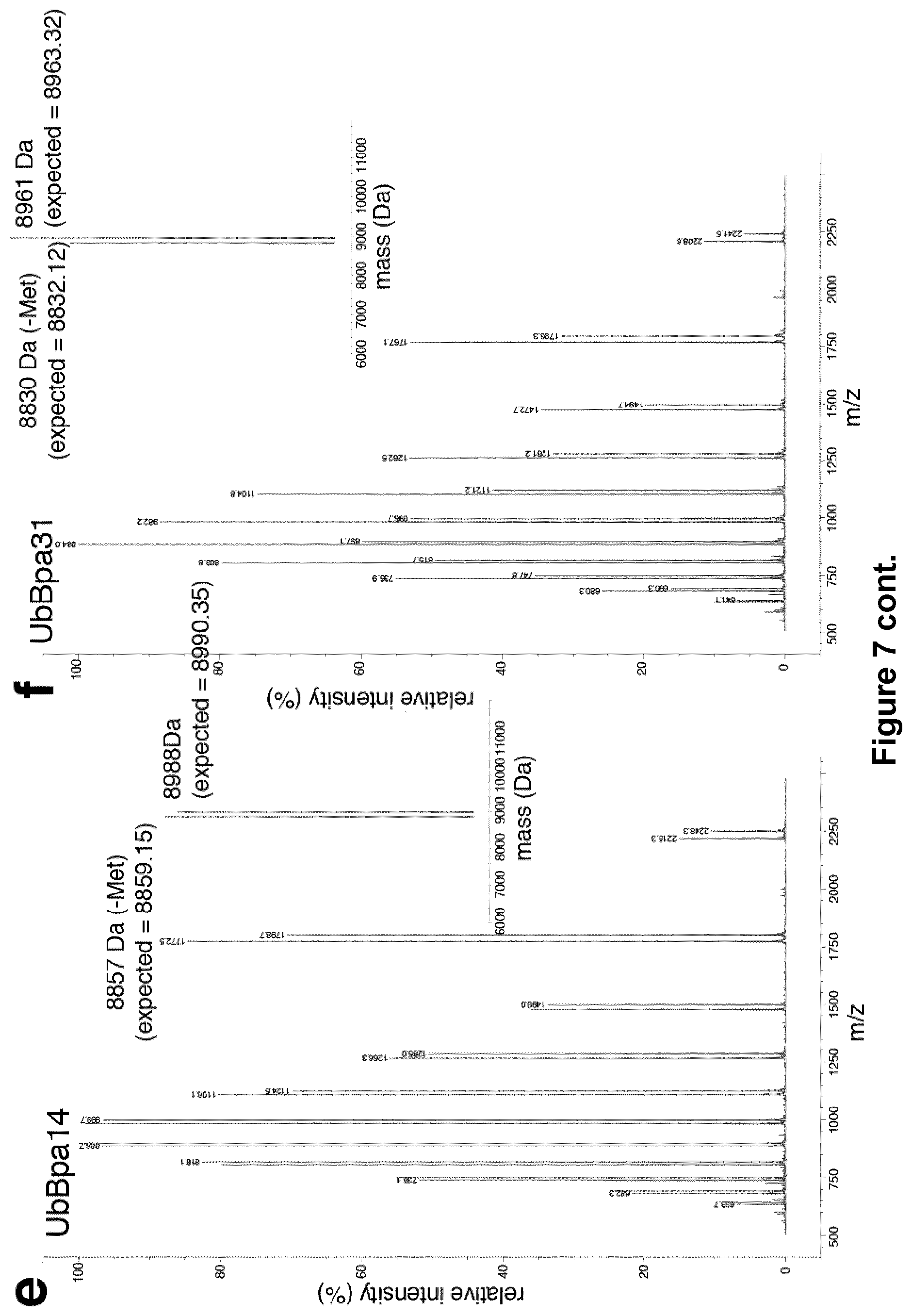 Patent US12351857 Figure 13 – Activity based probes