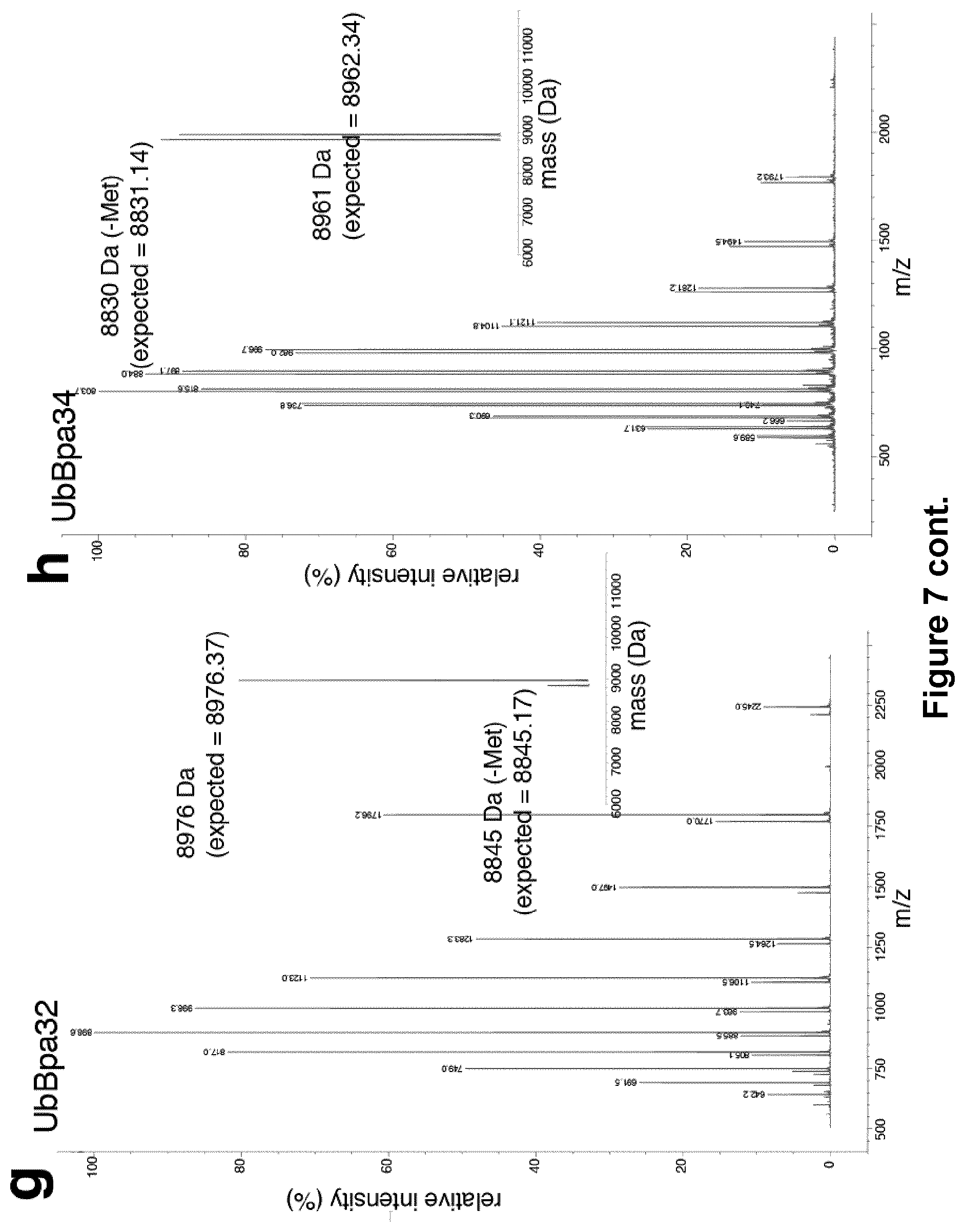 Patent US12351857 Figure 14 – Activity based probes
