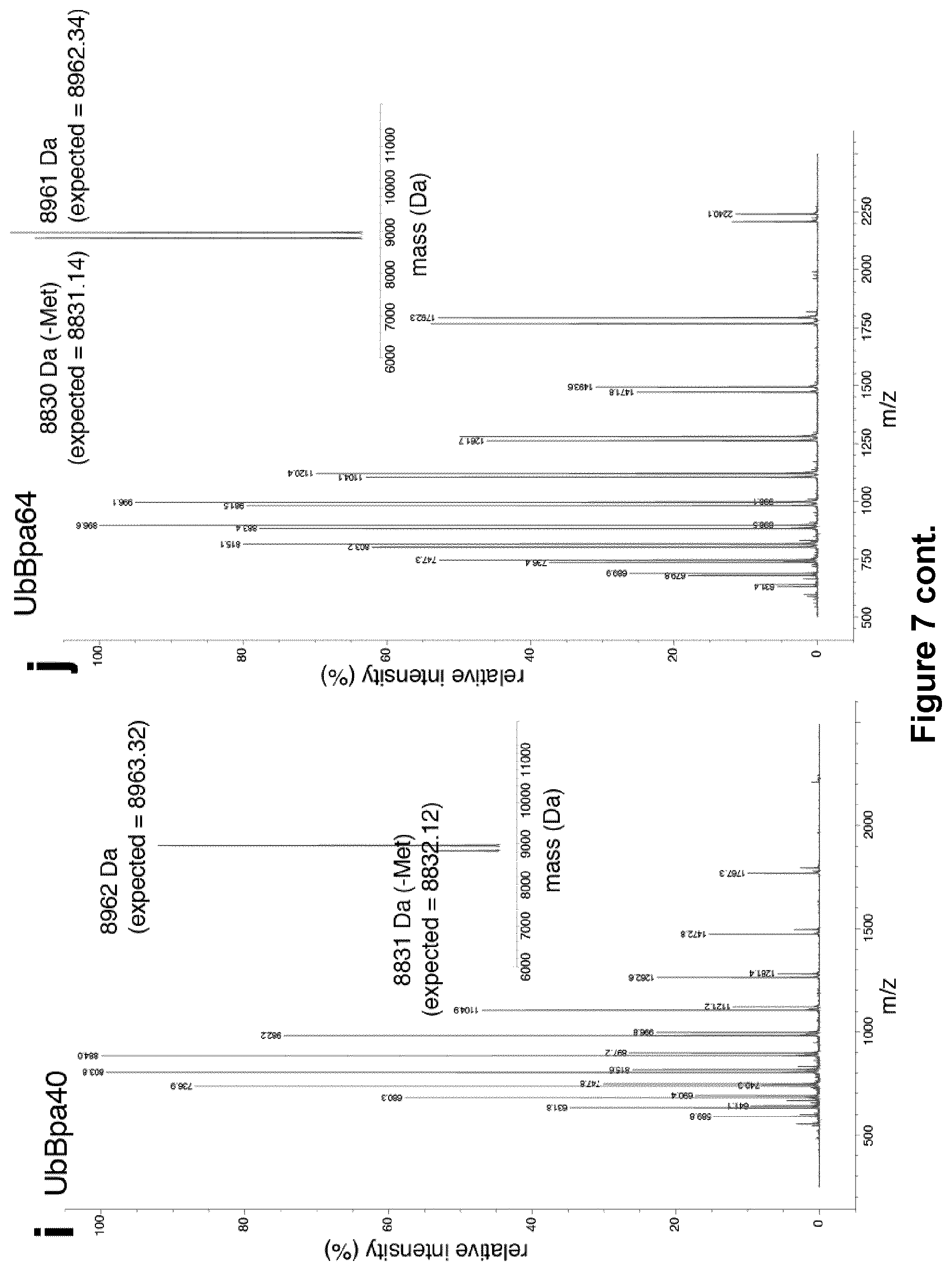 Patent US12351857 Figure 15 – Activity based probes