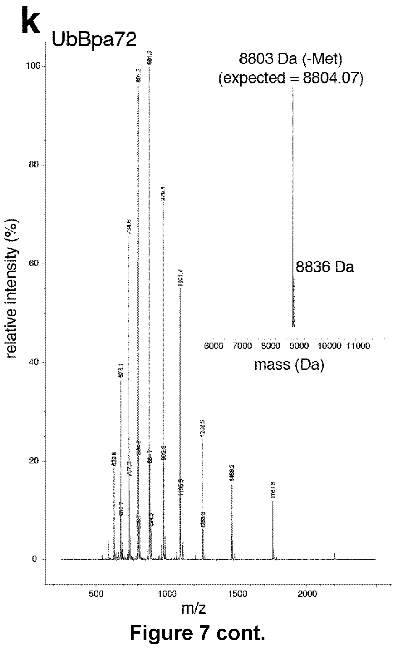 Patent US12351857 Figure 16 – Activity based probes