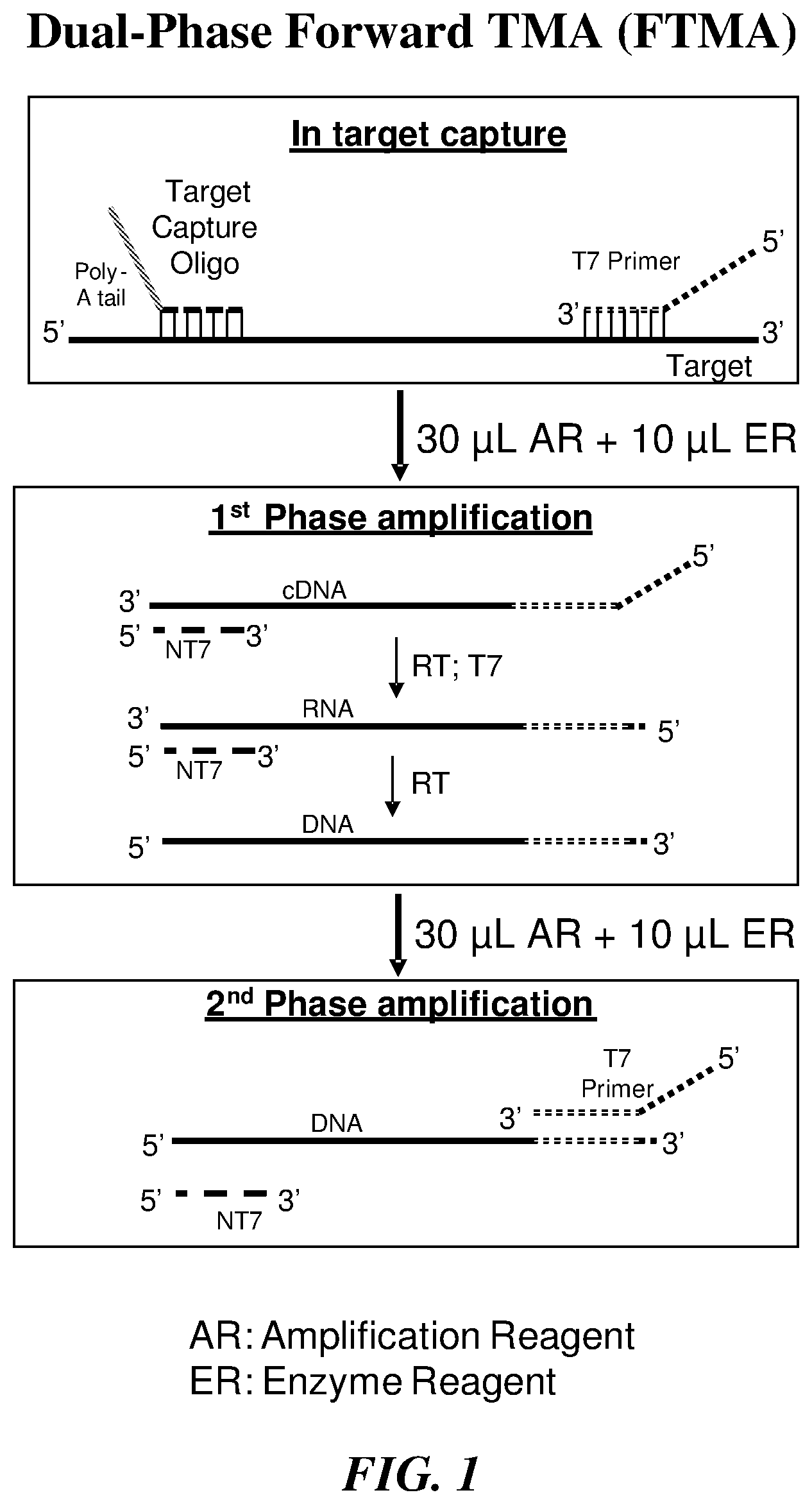 Patent US12351858 Figure 1 – Multiphase nucleic acid amplification