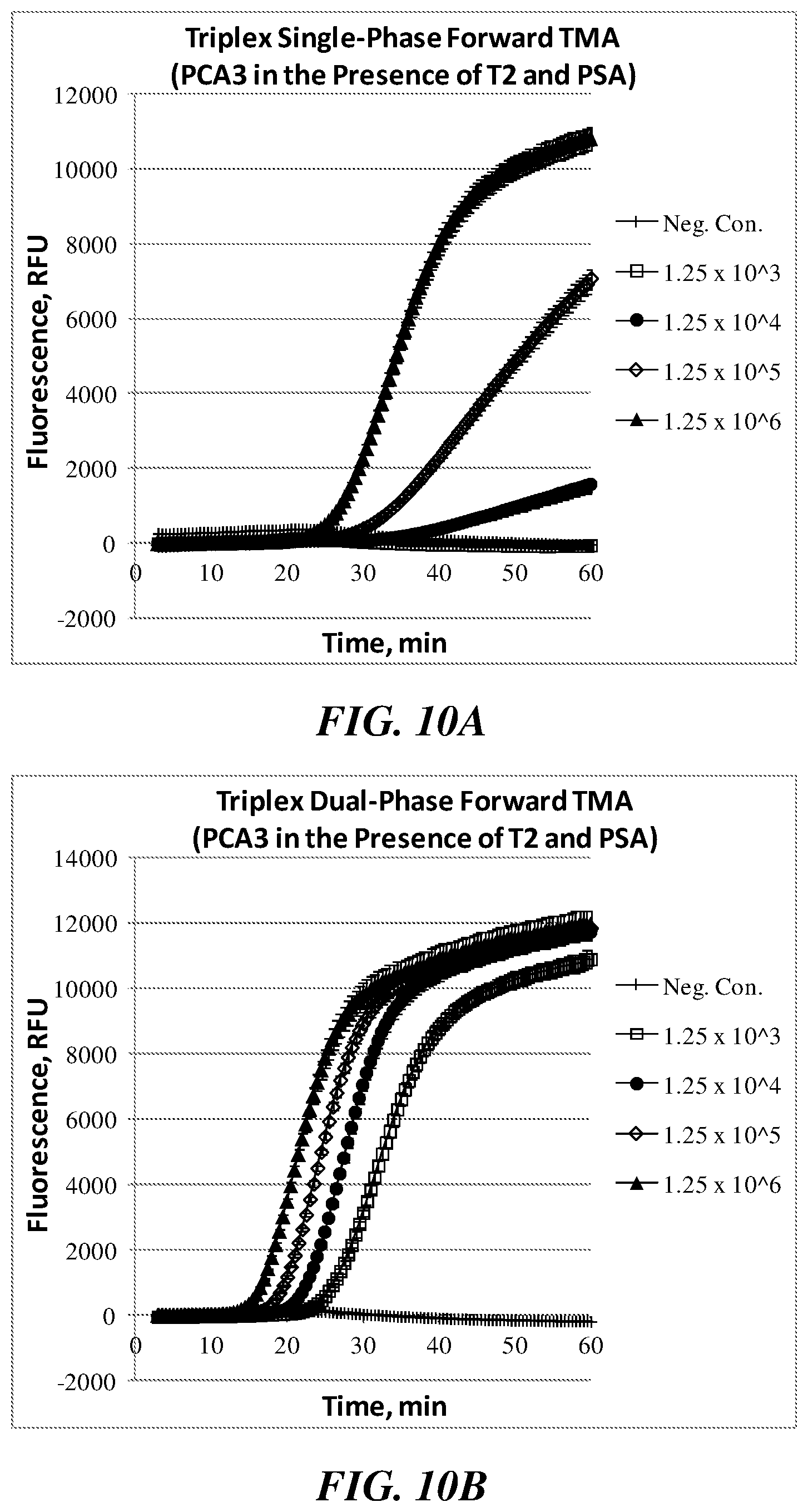 Patent US12351858 Figure 19 – Multiphase nucleic acid amplification