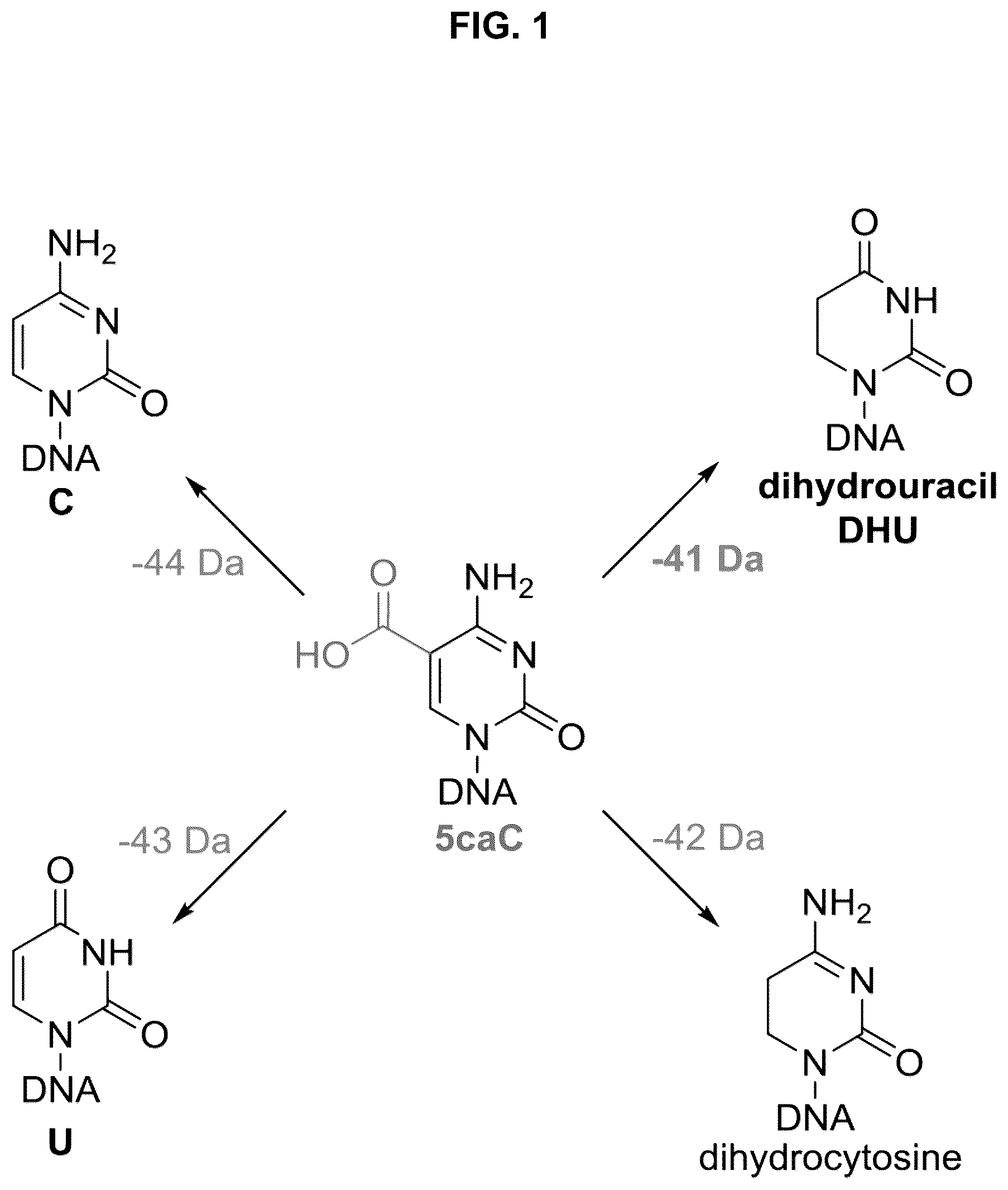 Patent US12351859 Figure 1 – Methods for the epigenetic analysis of DNA, particularly cell-free DNA