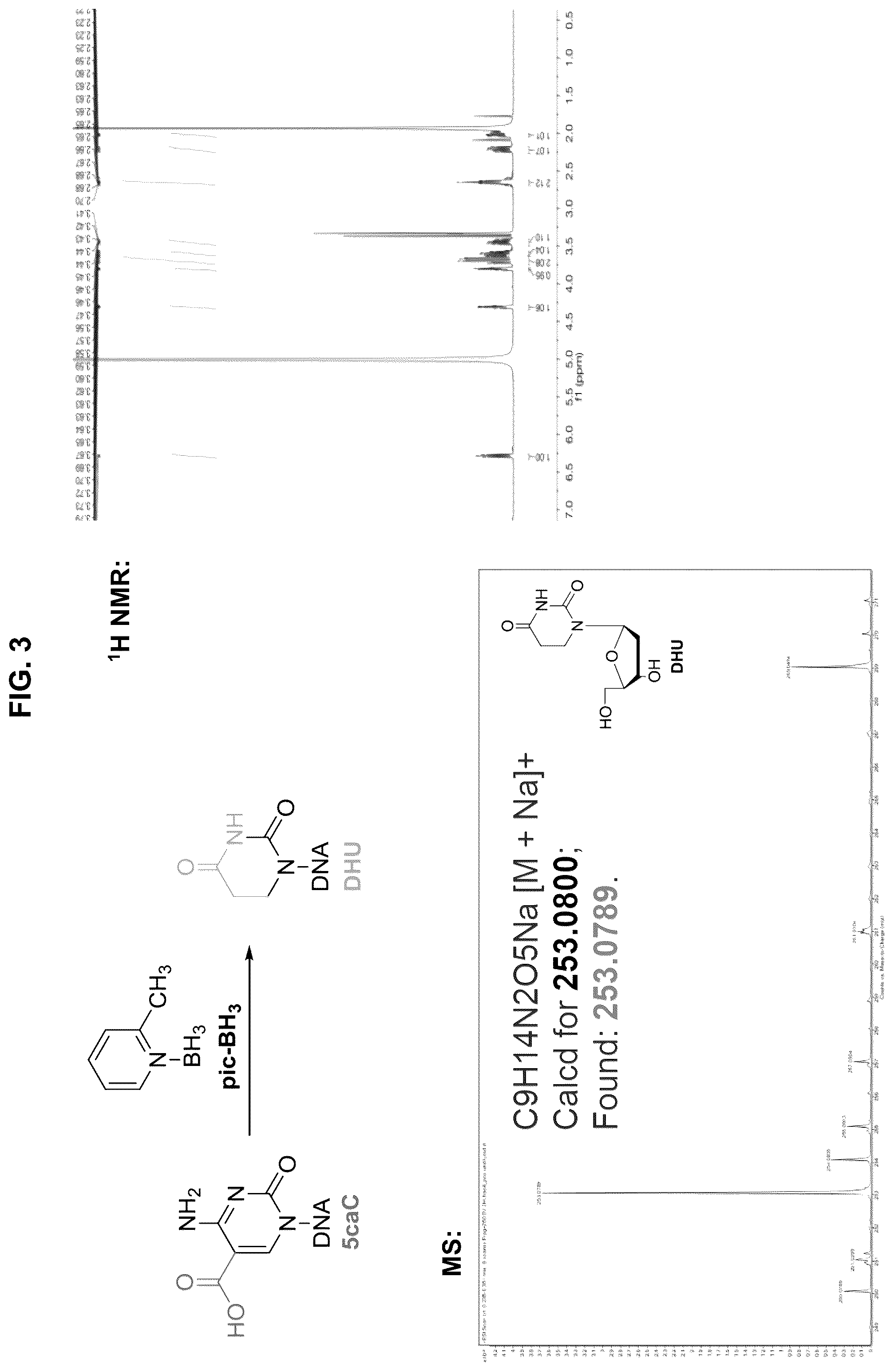 Patent US12351859 Figure 3 – Methods for the epigenetic analysis of DNA, particularly cell-free DNA