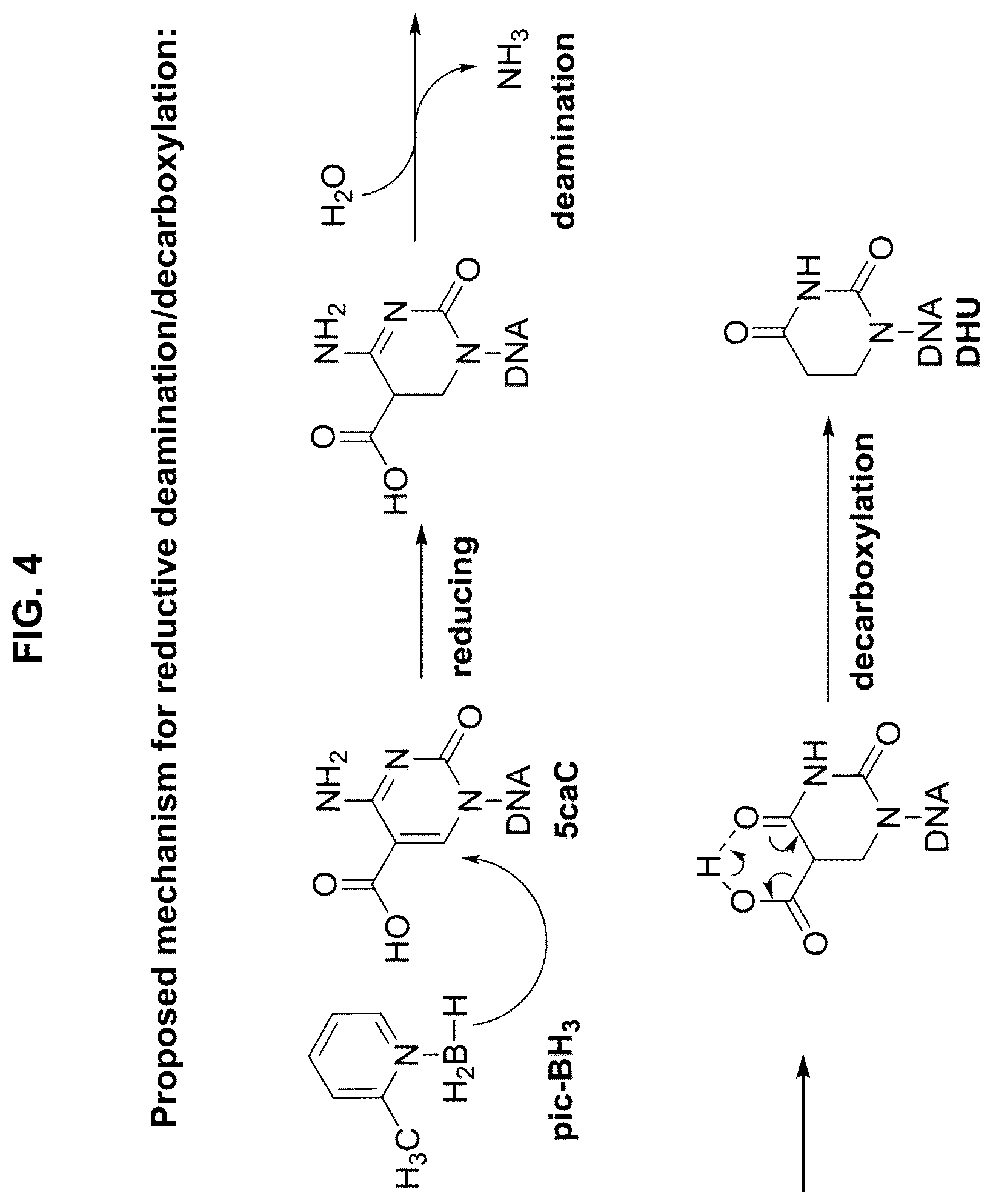Patent US12351859 Figure 4 – Methods for the epigenetic analysis of DNA, particularly cell-free DNA