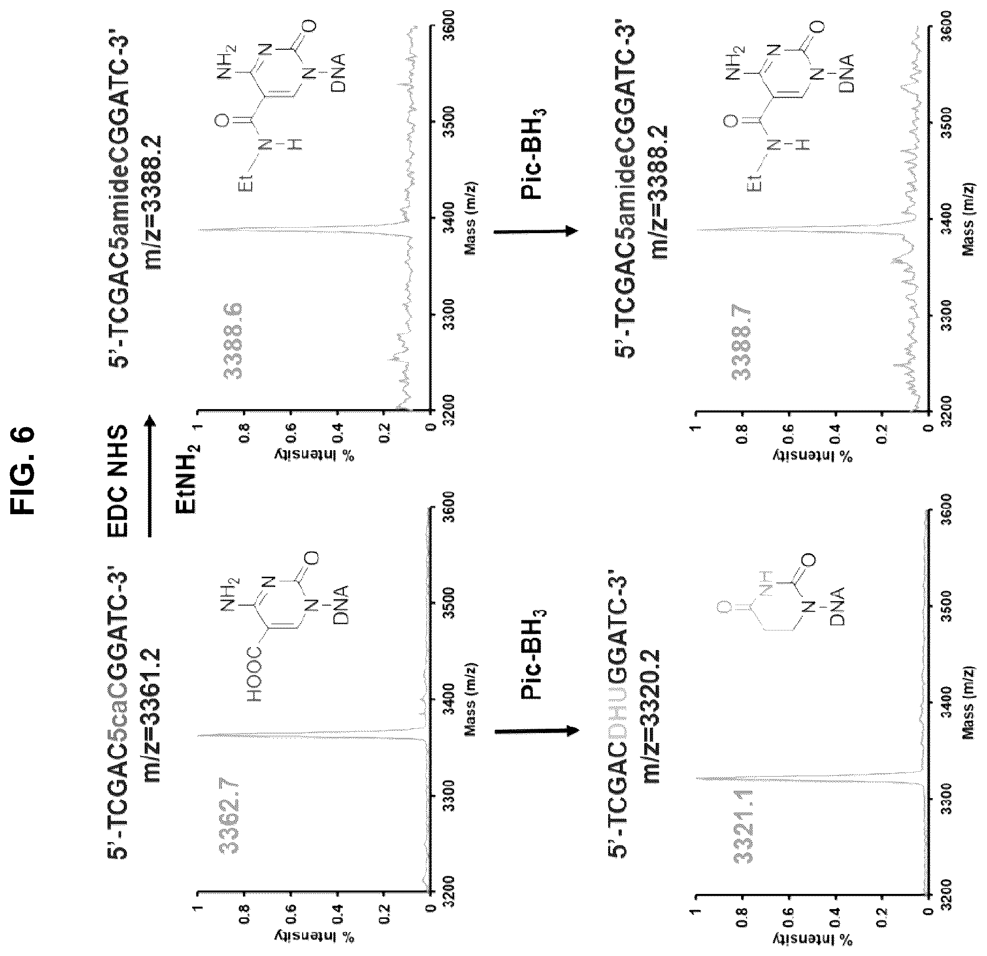 Patent US12351859 Figure 6 – Methods for the epigenetic analysis of DNA, particularly cell-free DNA