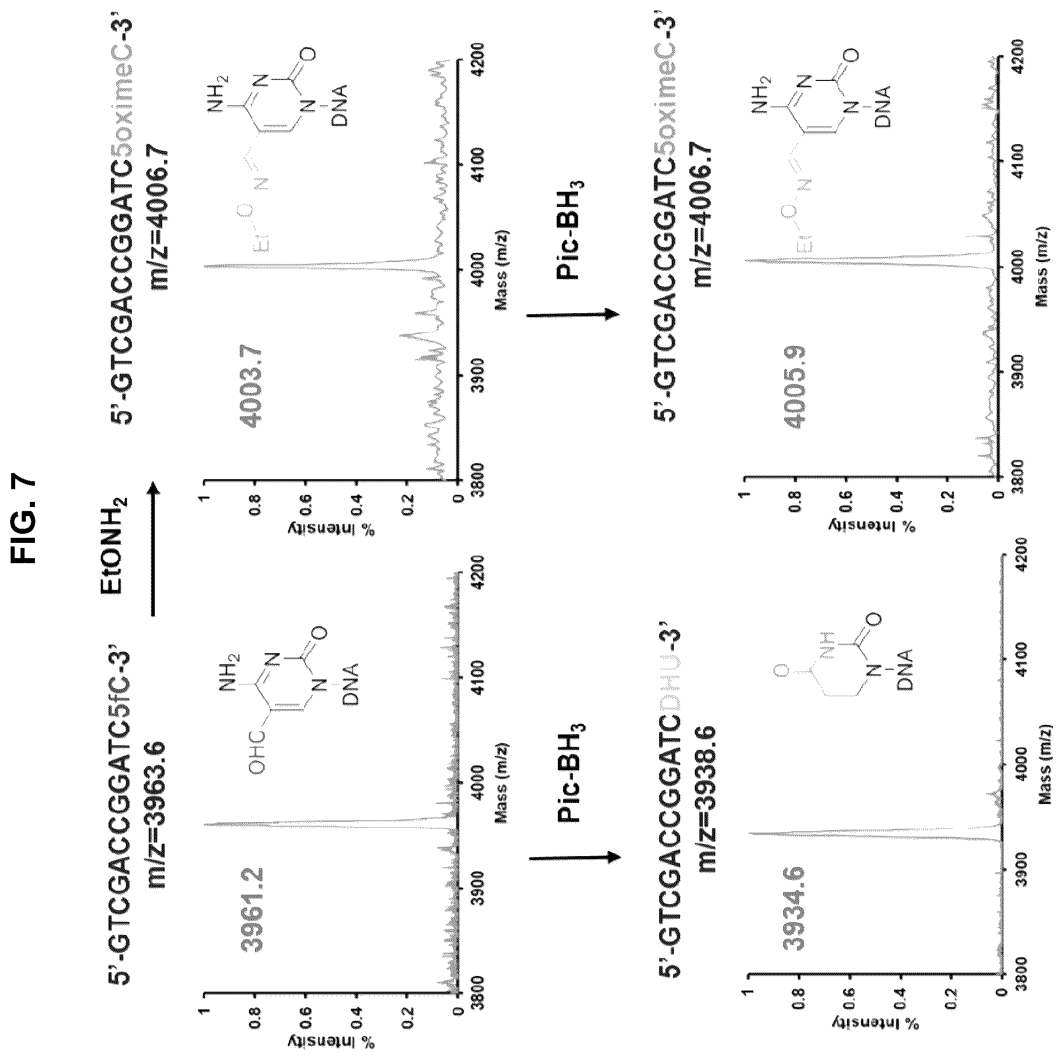 Patent US12351859 Figure 7 – Methods for the epigenetic analysis of DNA, particularly cell-free DNA