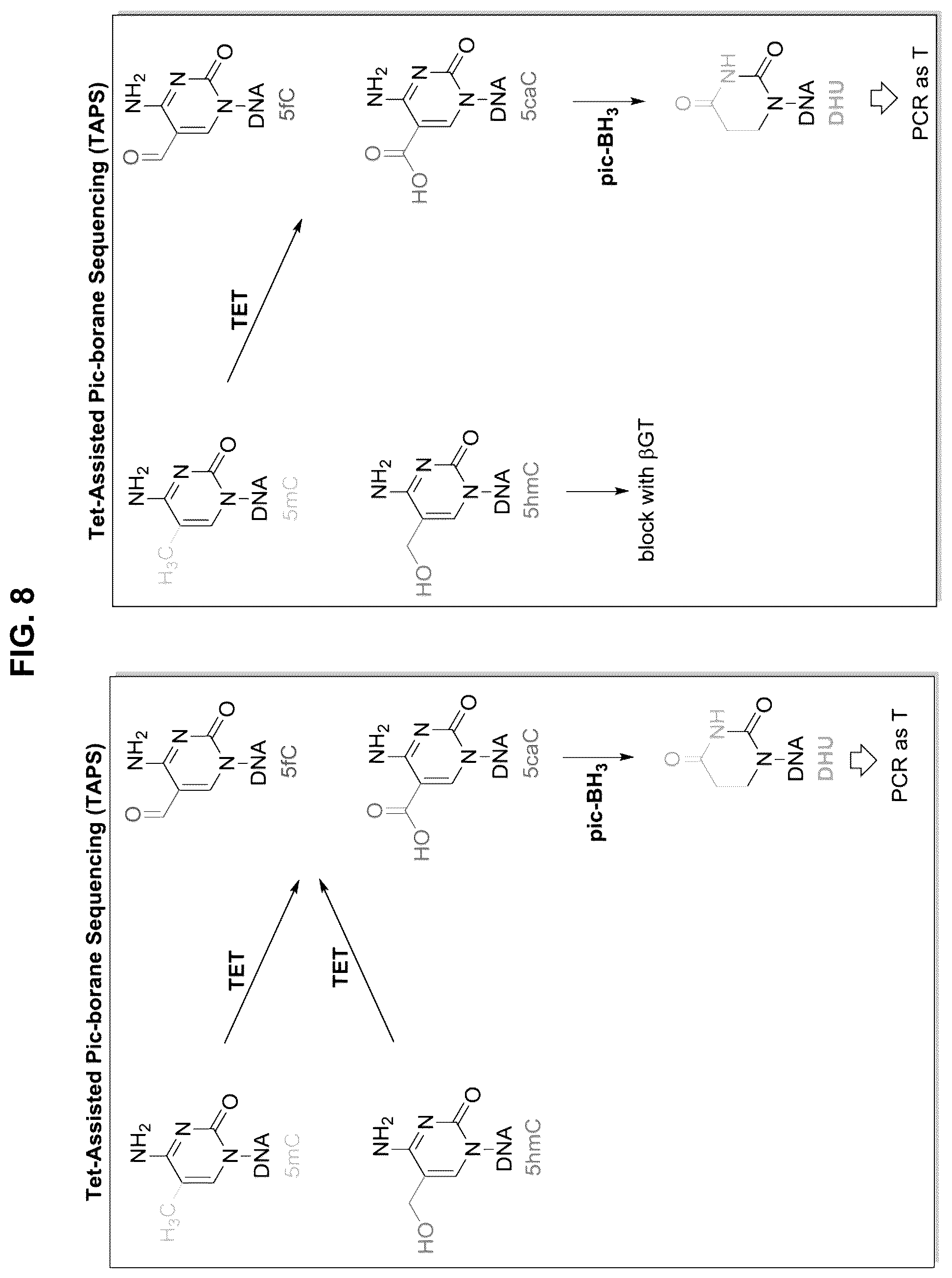 Patent US12351859 Figure 8 – Methods for the epigenetic analysis of DNA, particularly cell-free DNA