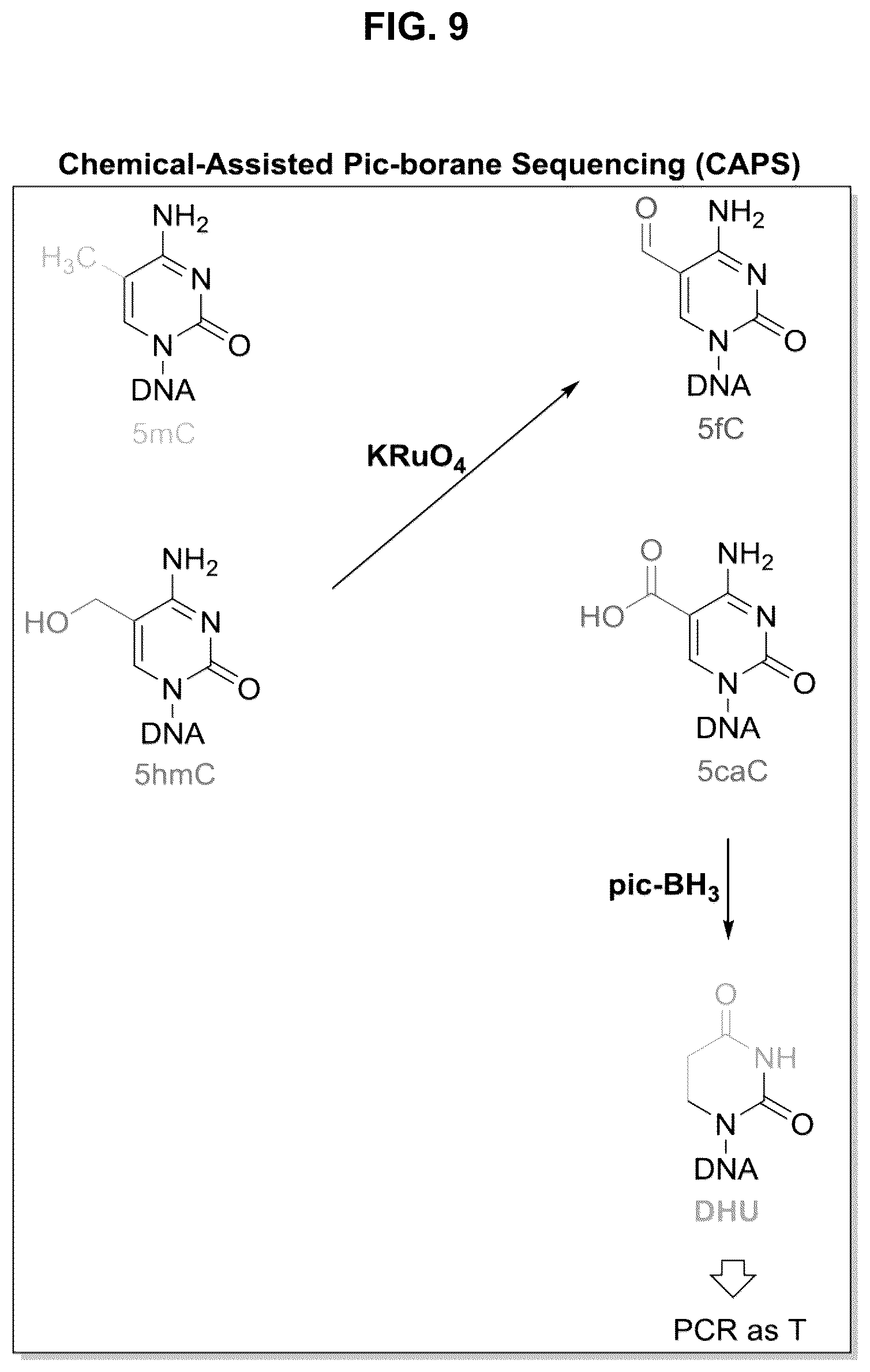 Patent US12351859 Figure 9 – Methods for the epigenetic analysis of DNA, particularly cell-free DNA