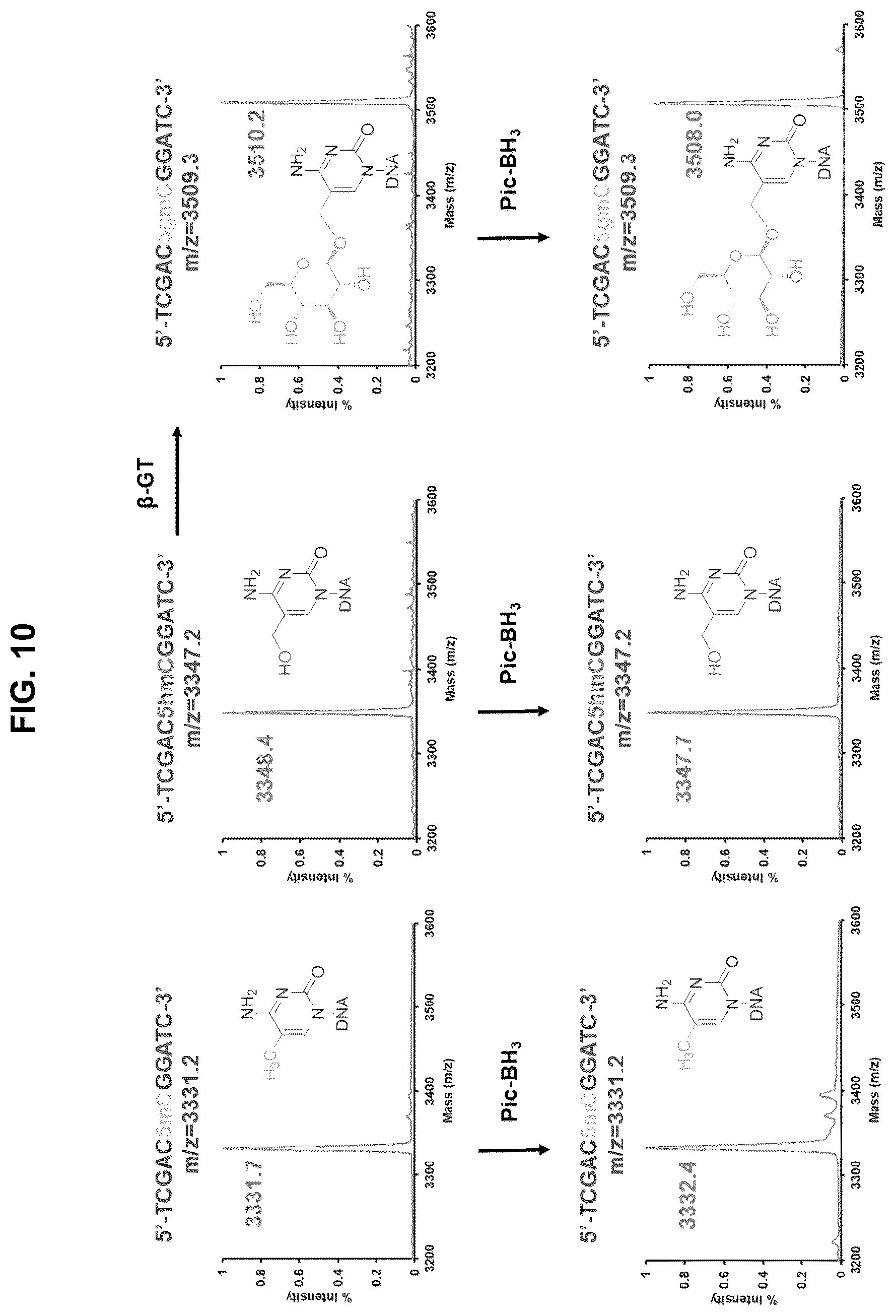 Patent US12351859 Figure 10 – Methods for the epigenetic analysis of DNA, particularly cell-free DNA