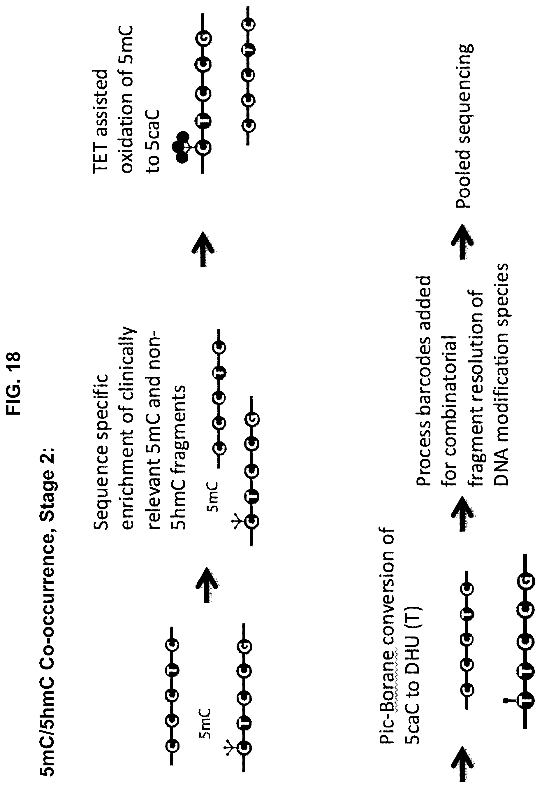 Patent US12351859 Figure 18 – Methods for the epigenetic analysis of DNA, particularly cell-free DNA