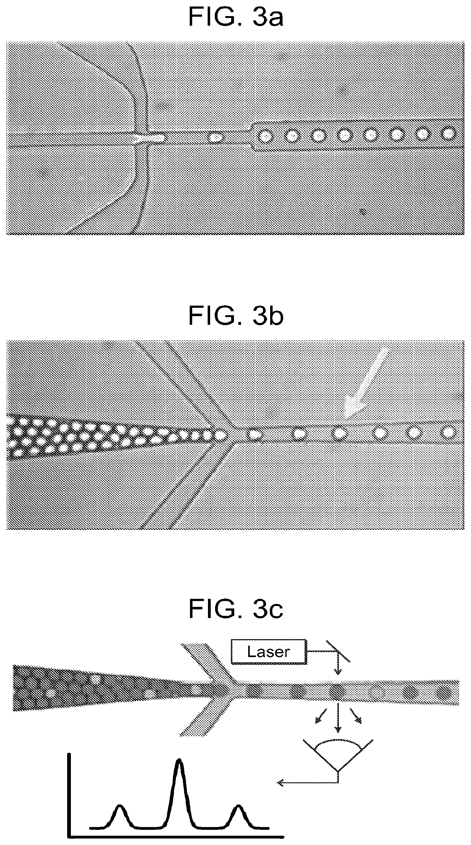Patent US12351860 Figure 2 – Digital analyte analysis