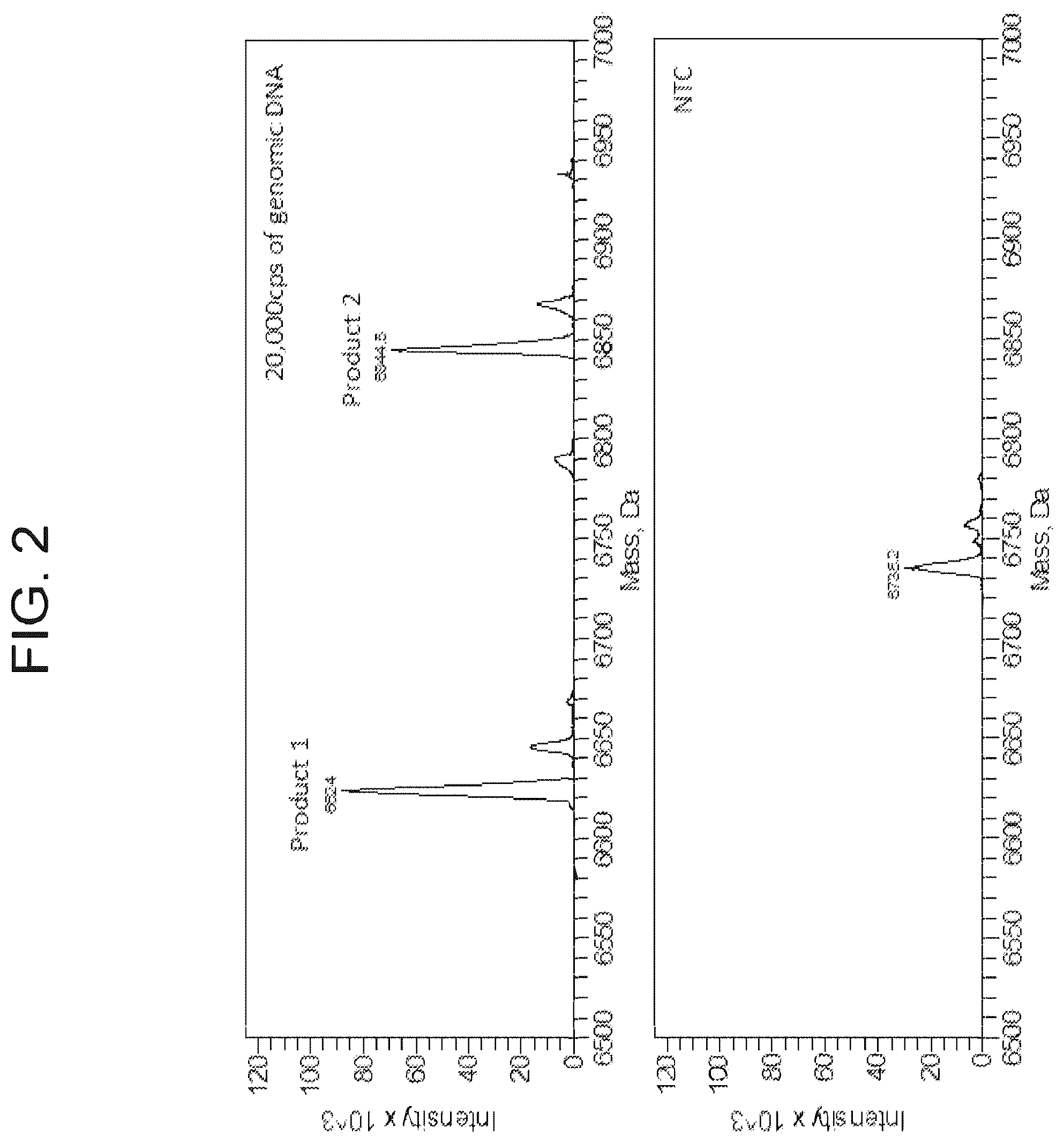 Patent US12351863 Figure 2 – Isothermal amplification components and processes