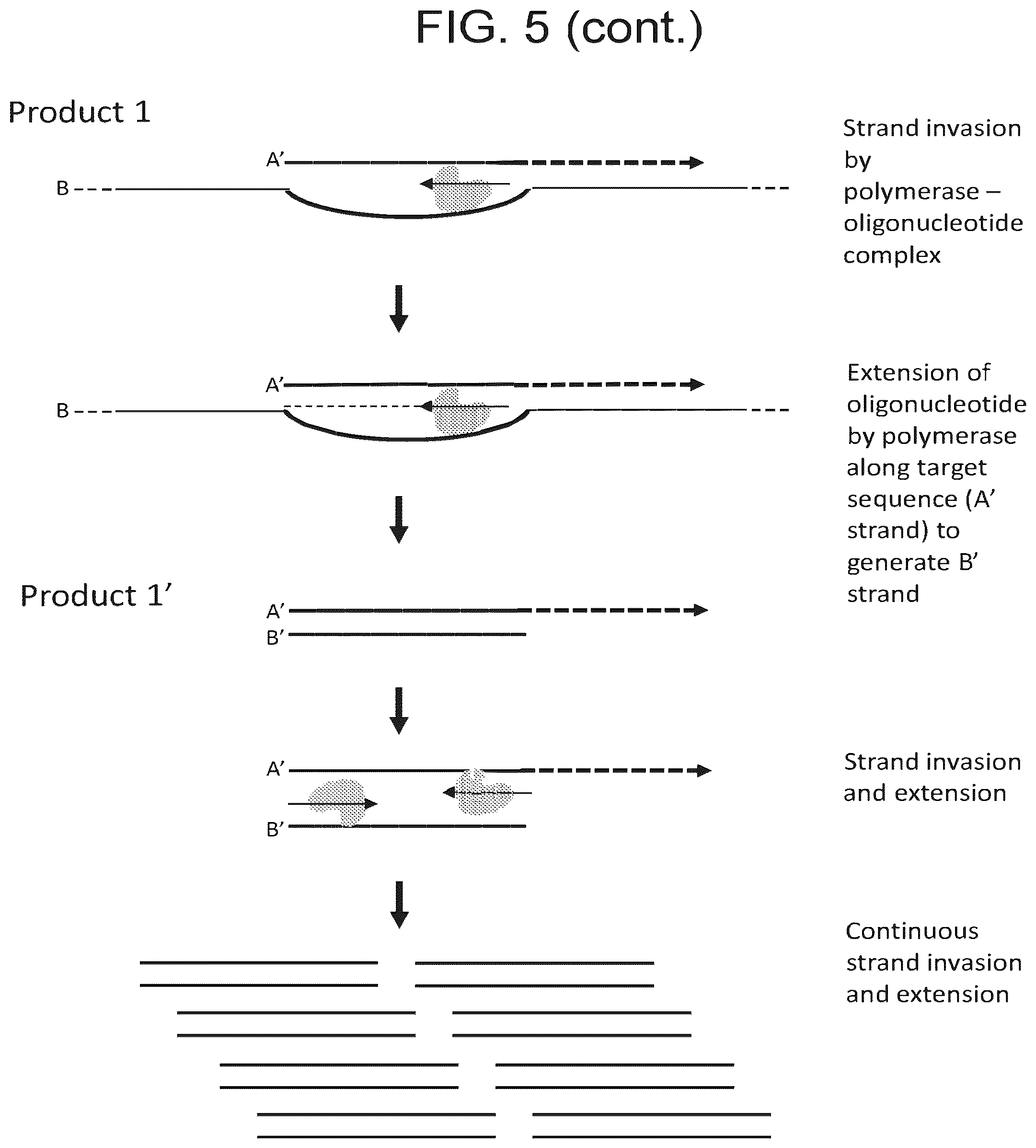 Patent US12351863 Figure 6 – Isothermal amplification components and processes