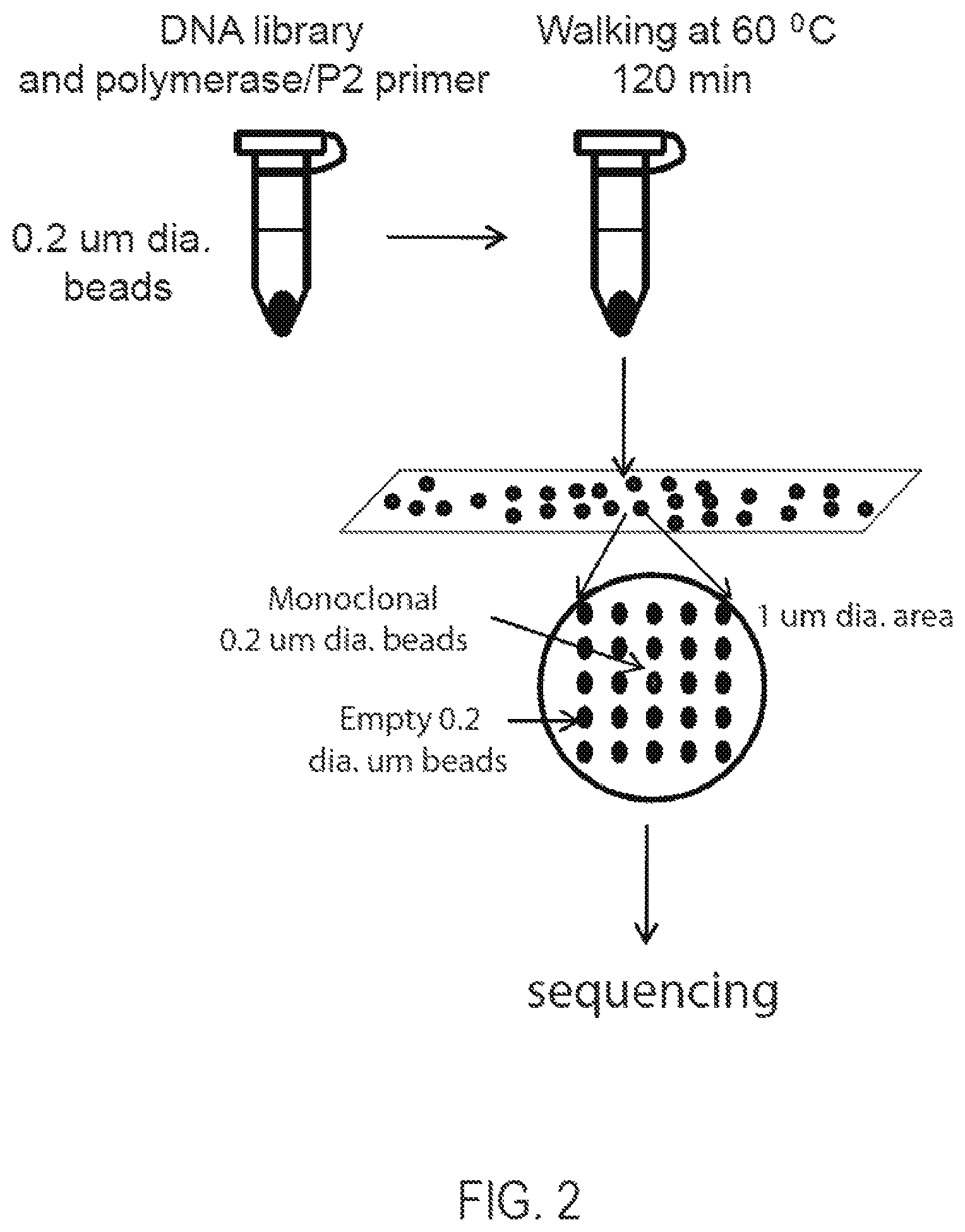 Patent US12351865 Figure 2 – Methods, compositions, systems, apparatuses and kits for nucleic acid amplification