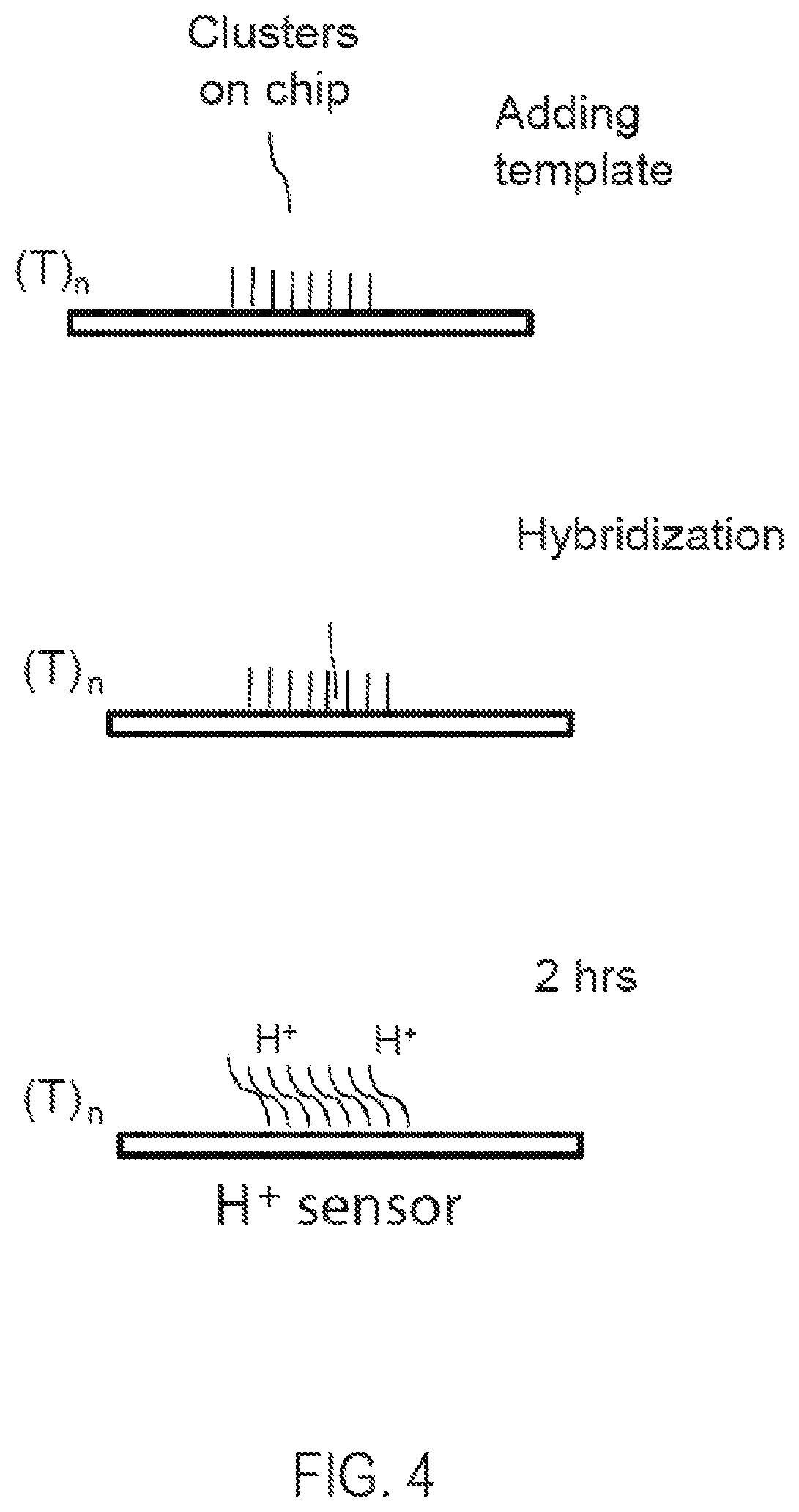 Patent US12351865 Figure 4 – Methods, compositions, systems, apparatuses and kits for nucleic acid amplification