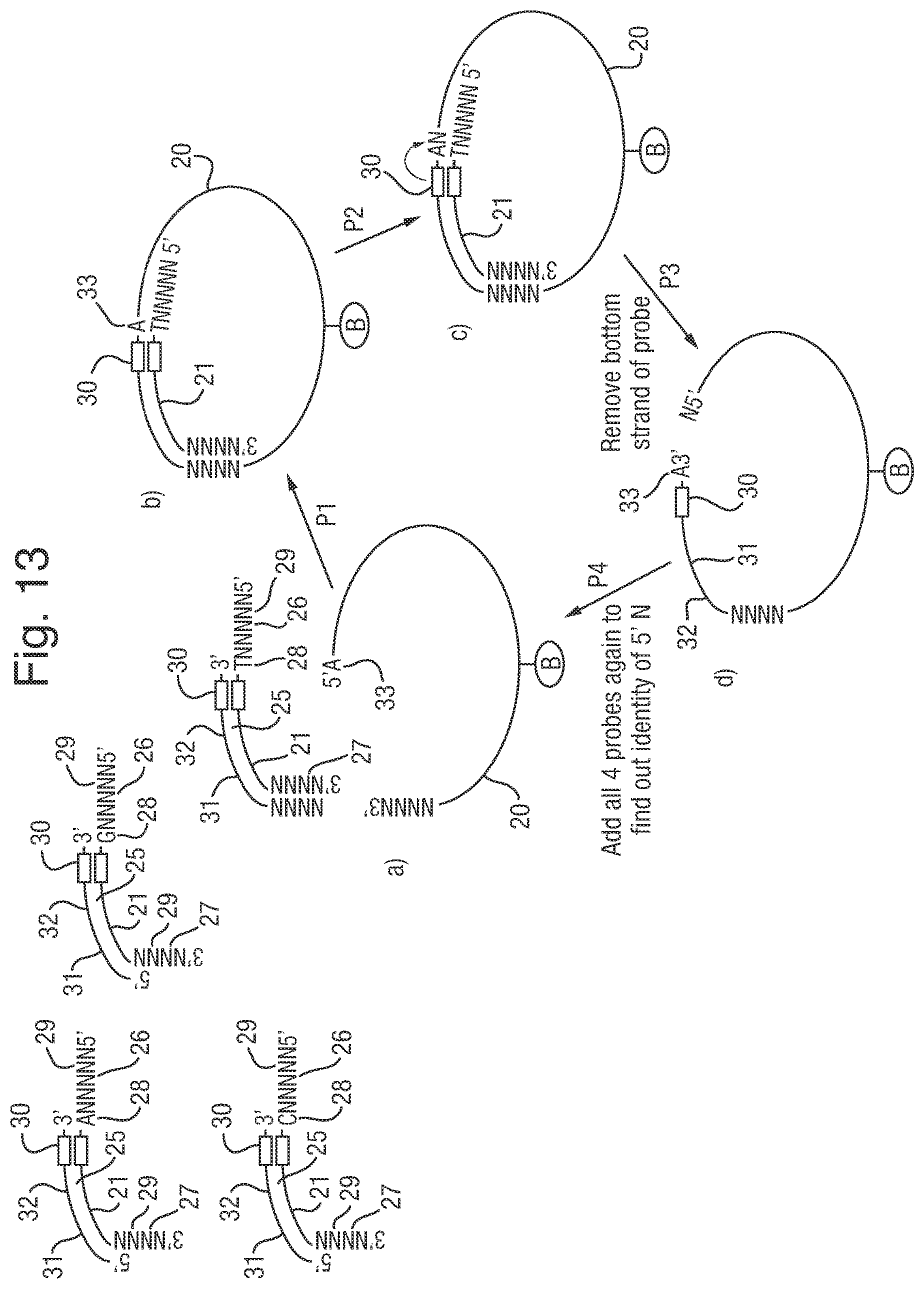 Patent US12351867 Figure 8 – Analysis of a polynucleotide via a nanopore system