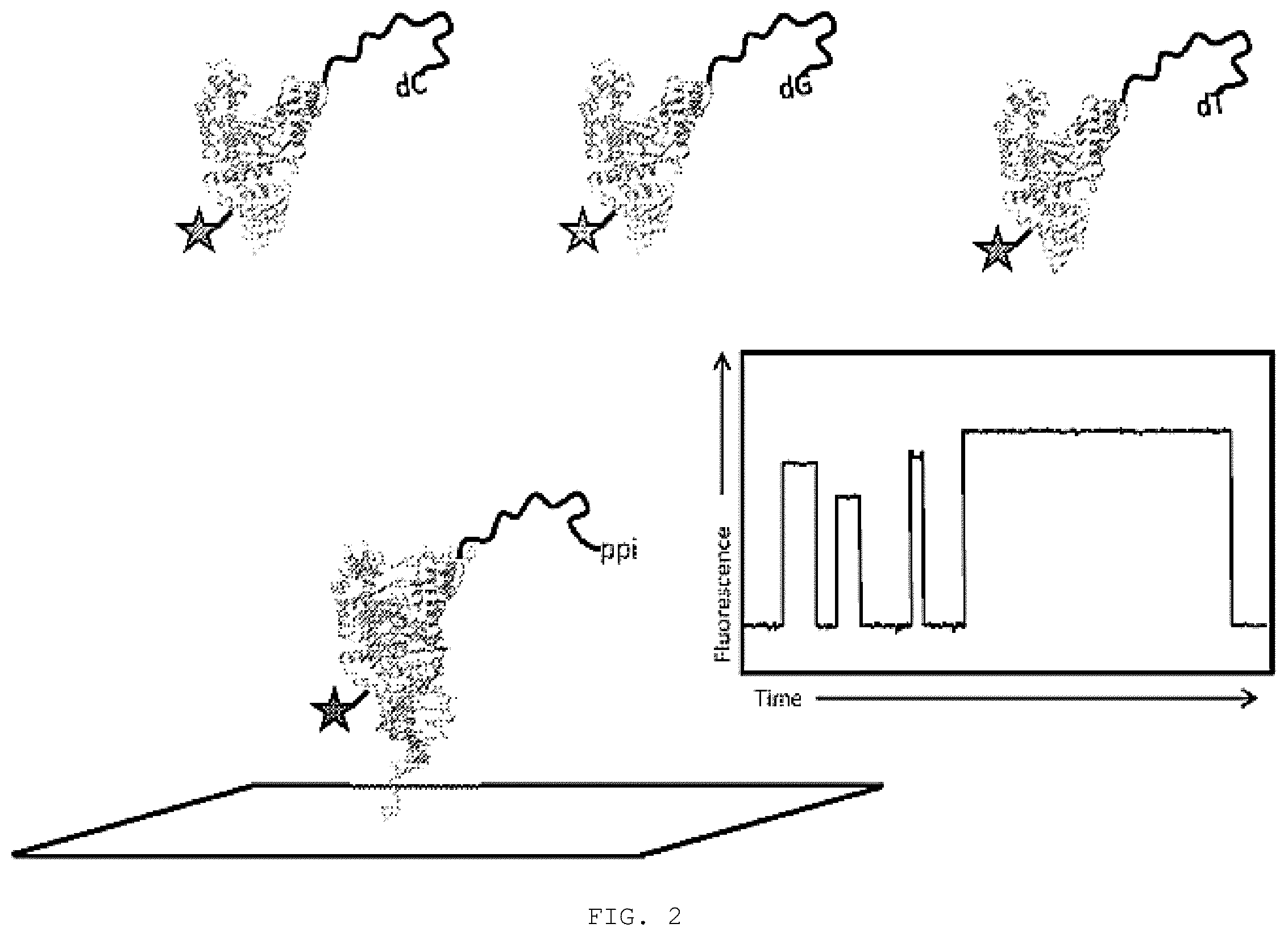 Patent US12351868 Figure 3 – Enzyme-linked nucleotides
