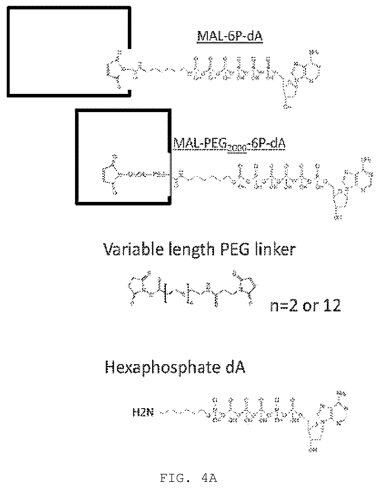 Patent US12351868 Figure 7 – Enzyme-linked nucleotides