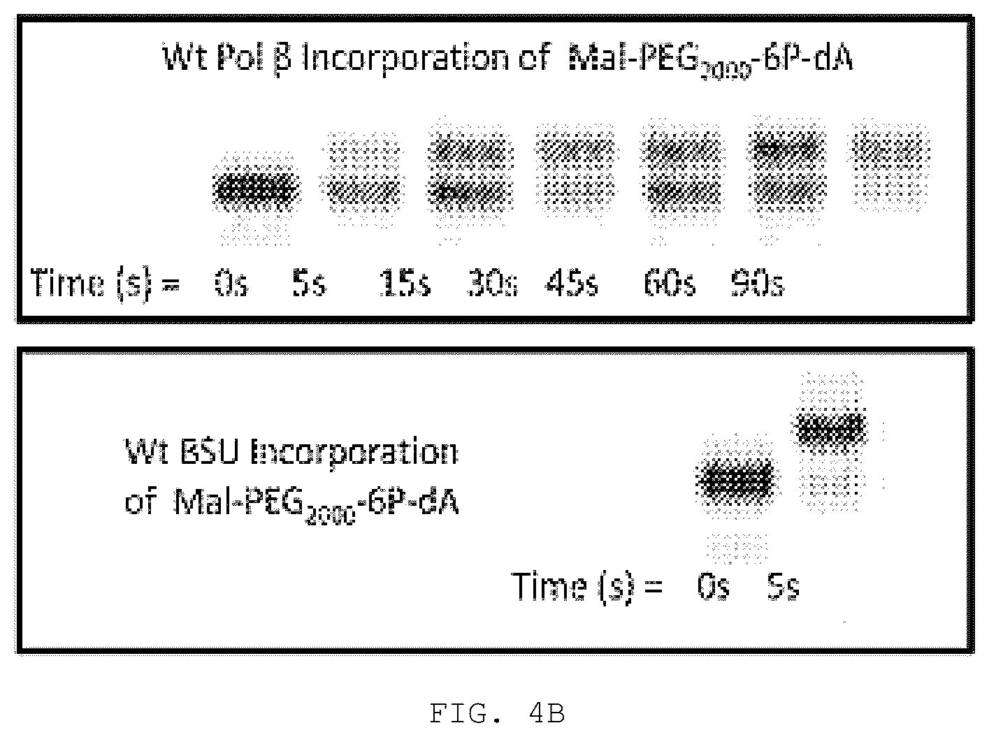 Patent US12351868 Figure 8 – Enzyme-linked nucleotides