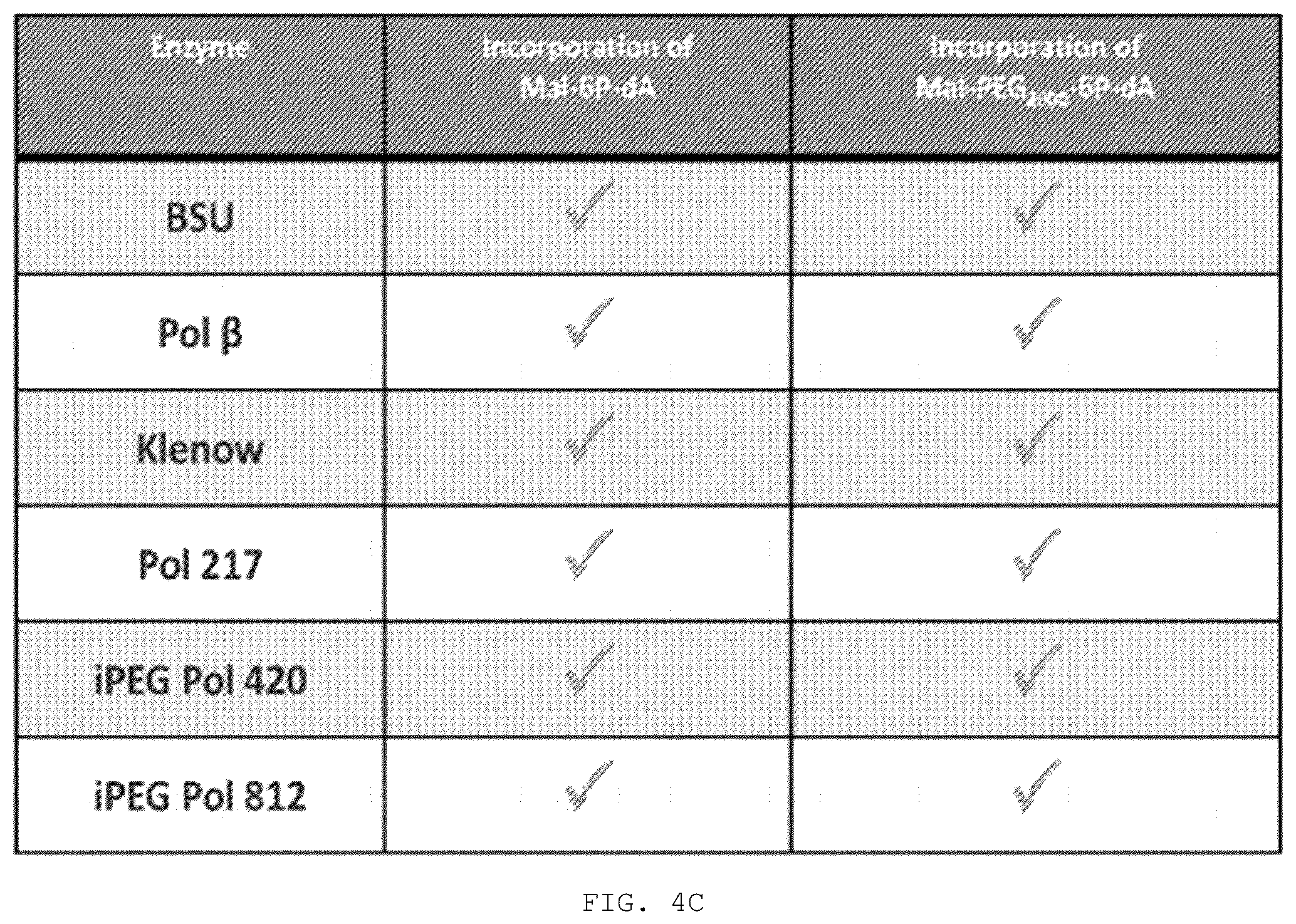 Patent US12351868 Figure 9 – Enzyme-linked nucleotides