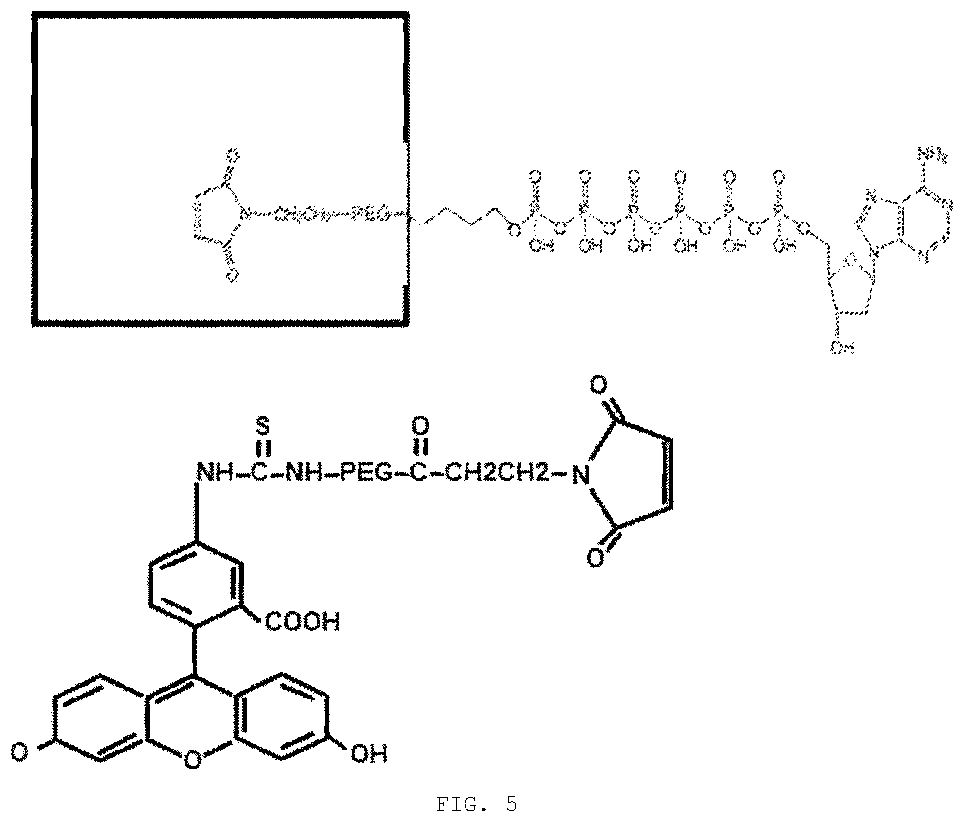 Patent US12351868 Figure 10 – Enzyme-linked nucleotides