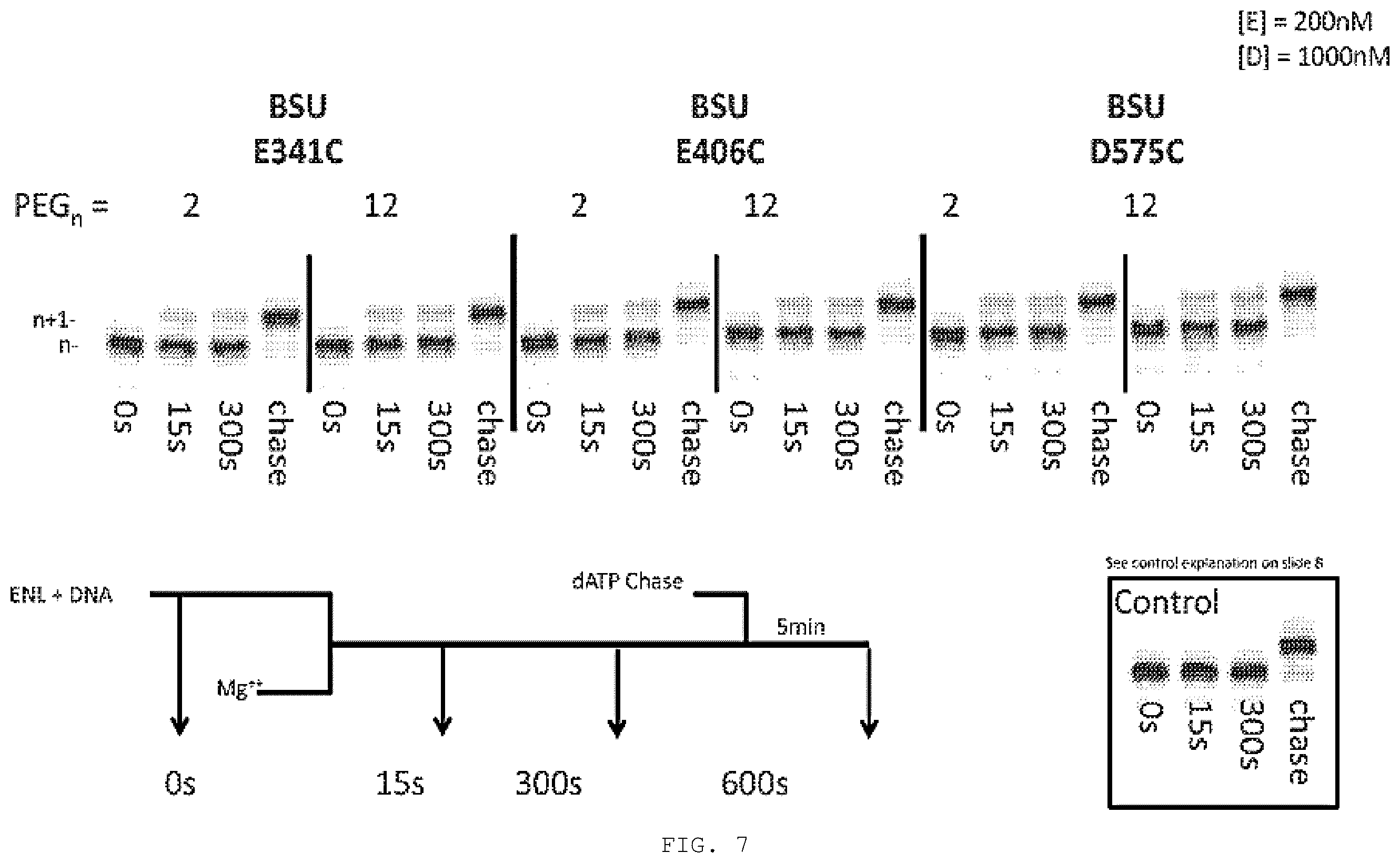 Patent US12351868 Figure 12 – Enzyme-linked nucleotides
