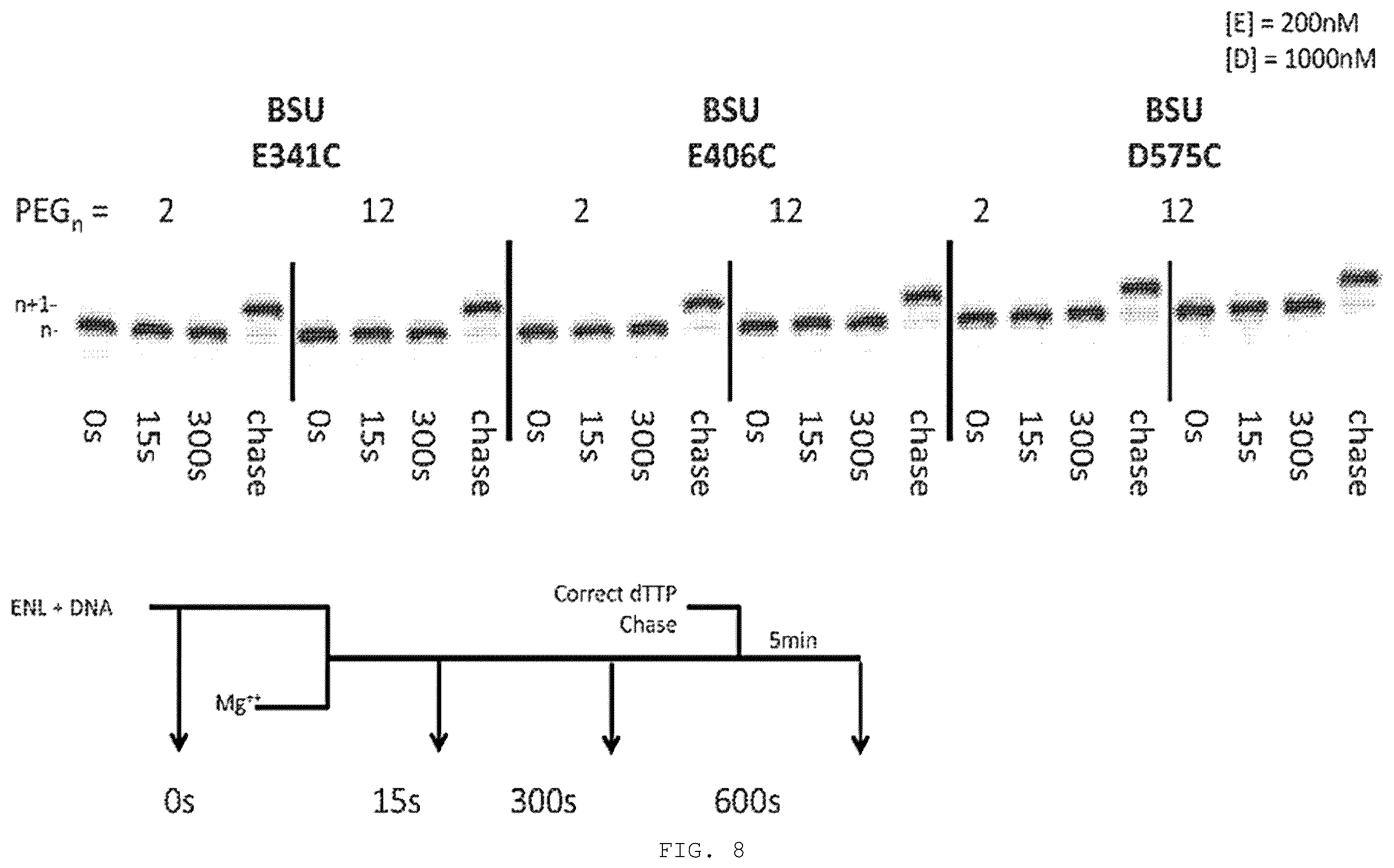 Patent US12351868 Figure 13 – Enzyme-linked nucleotides