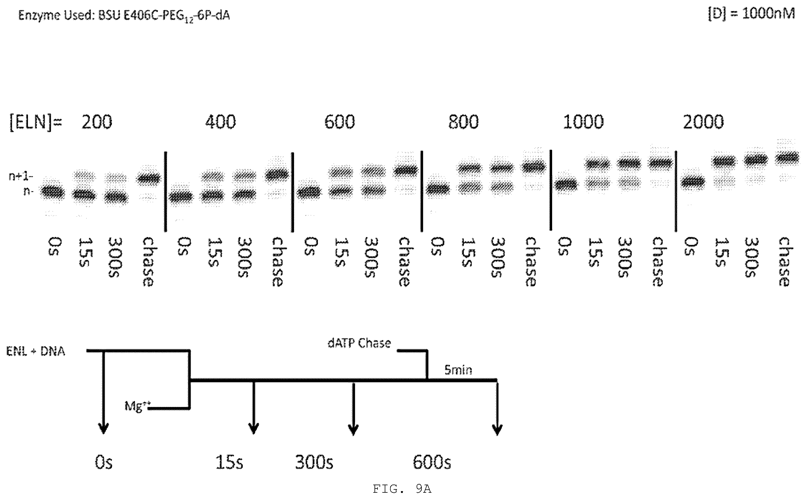 Patent US12351868 Figure 14 – Enzyme-linked nucleotides