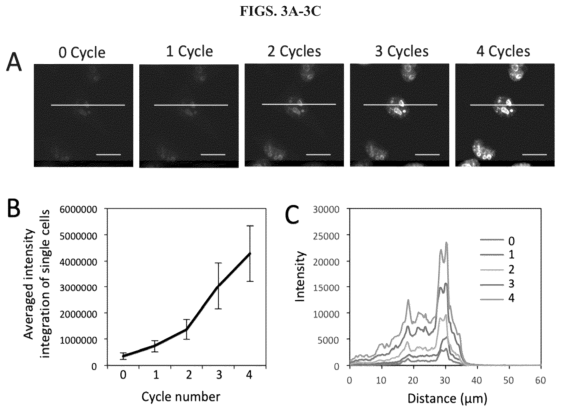 Patent US12351870 Figure 3 – Methods and systems for sensitive and multiplexed analysis of biological samples using cleavable fluorescent streptavidin and anti-hapten antibodies