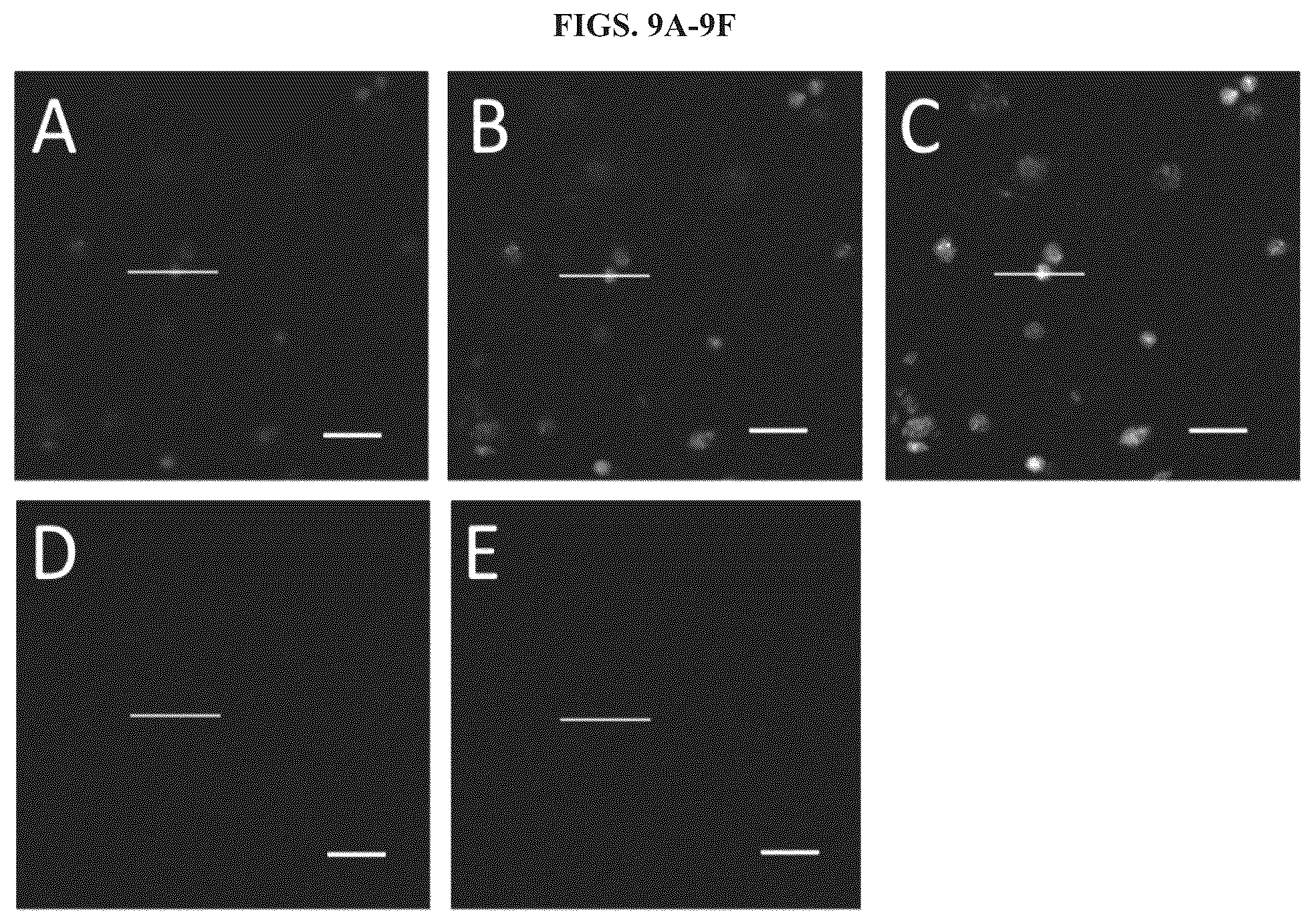Patent US12351870 Figure 9 – Methods and systems for sensitive and multiplexed analysis of biological samples using cleavable fluorescent streptavidin and anti-hapten antibodies
