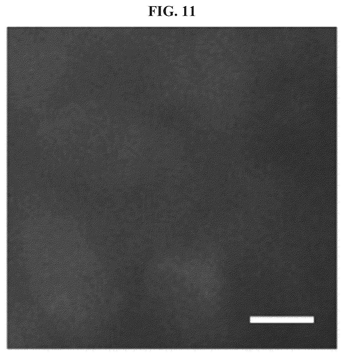 Patent US12351870 Figure 12 – Methods and systems for sensitive and multiplexed analysis of biological samples using cleavable fluorescent streptavidin and anti-hapten antibodies