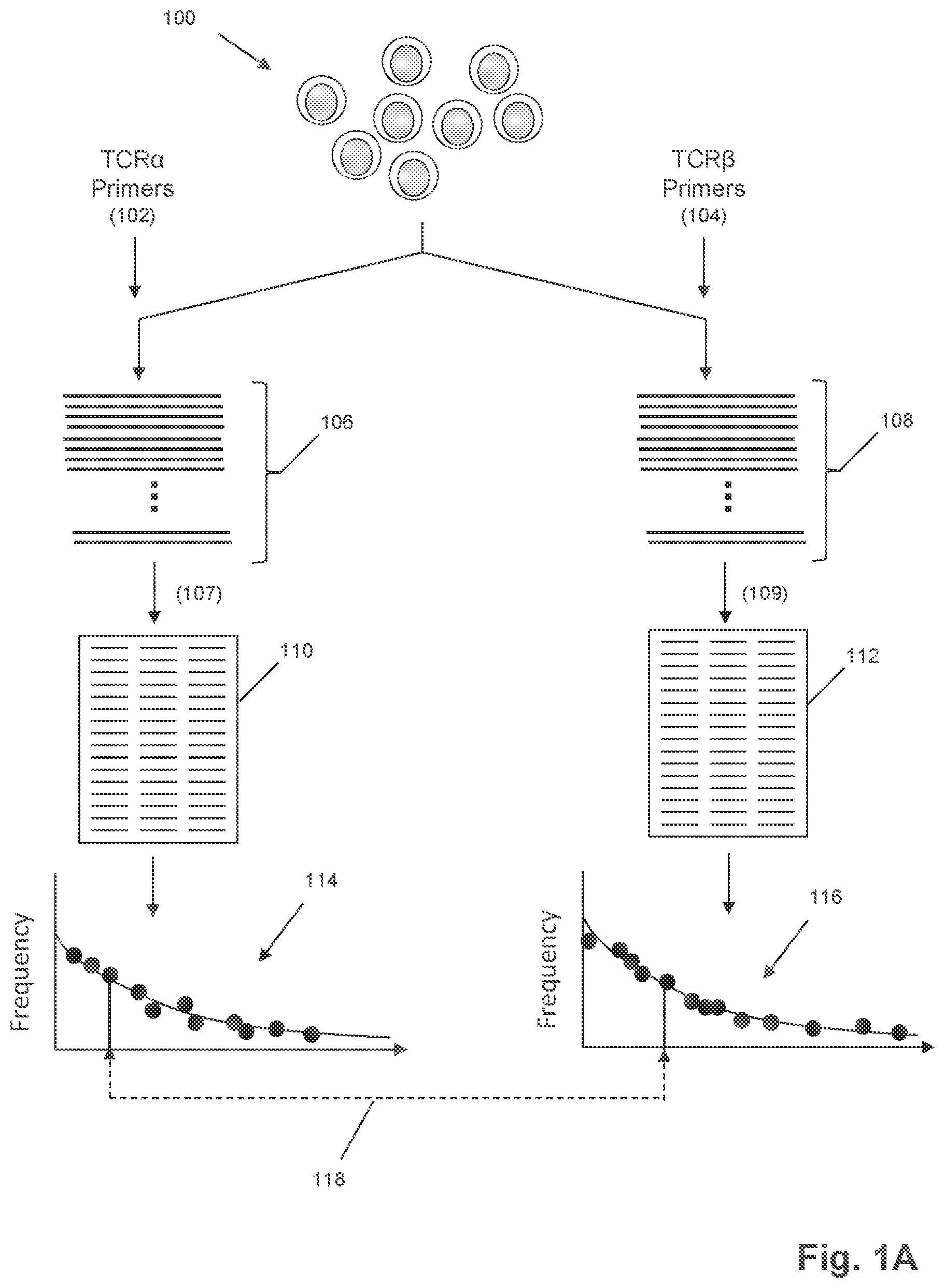 Patent US12351872 Figure 1 – Determining antigen-specific T-cells