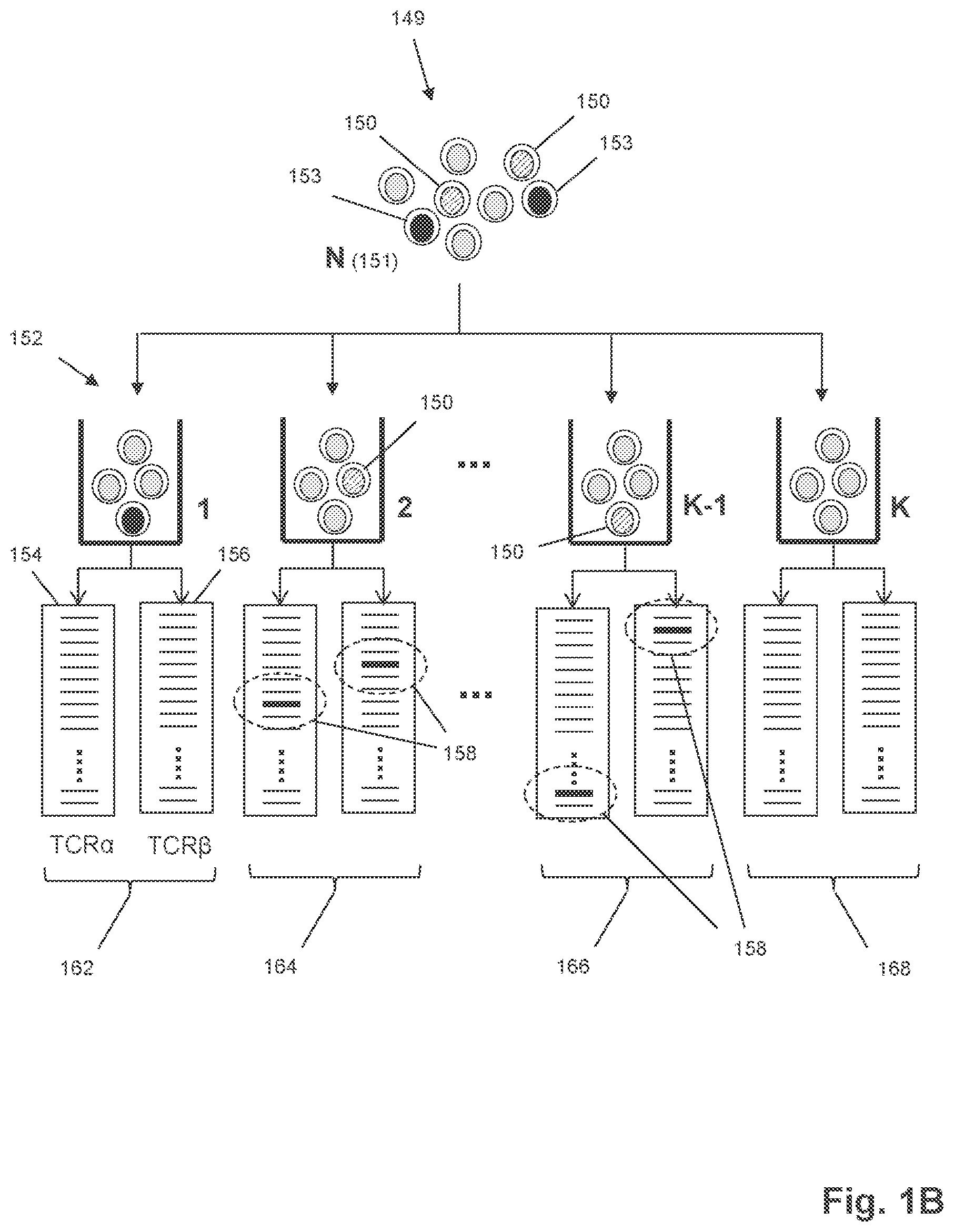 Patent US12351872 Figure 2 – Determining antigen-specific T-cells