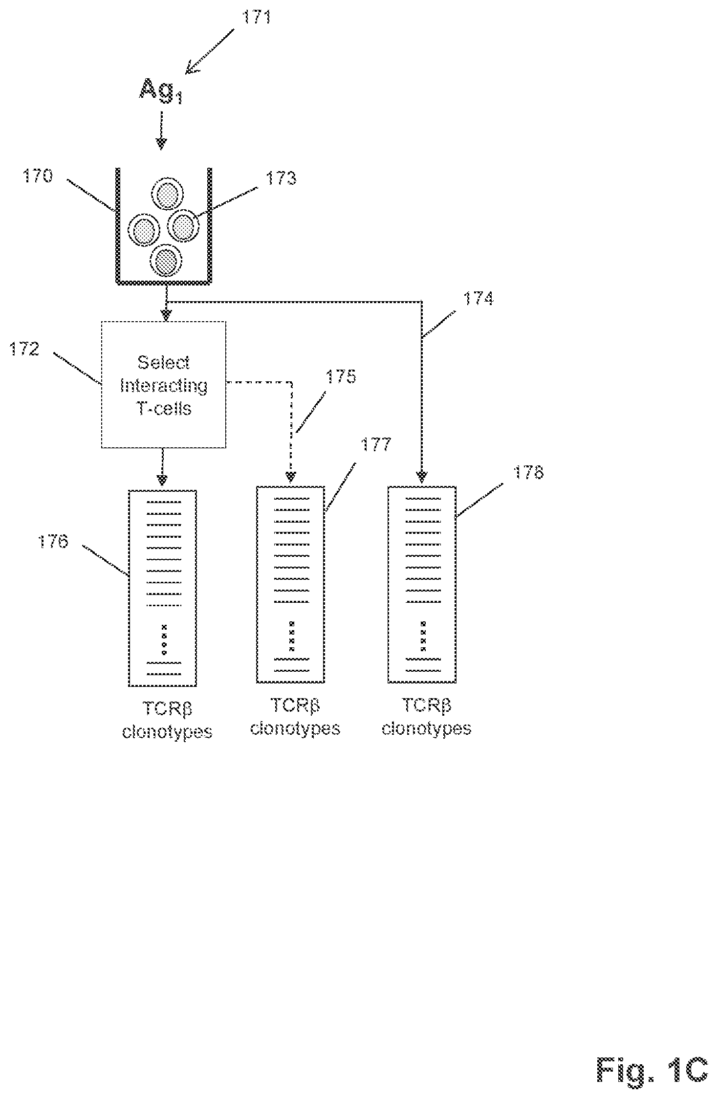 Patent US12351872 Figure 3 – Determining antigen-specific T-cells