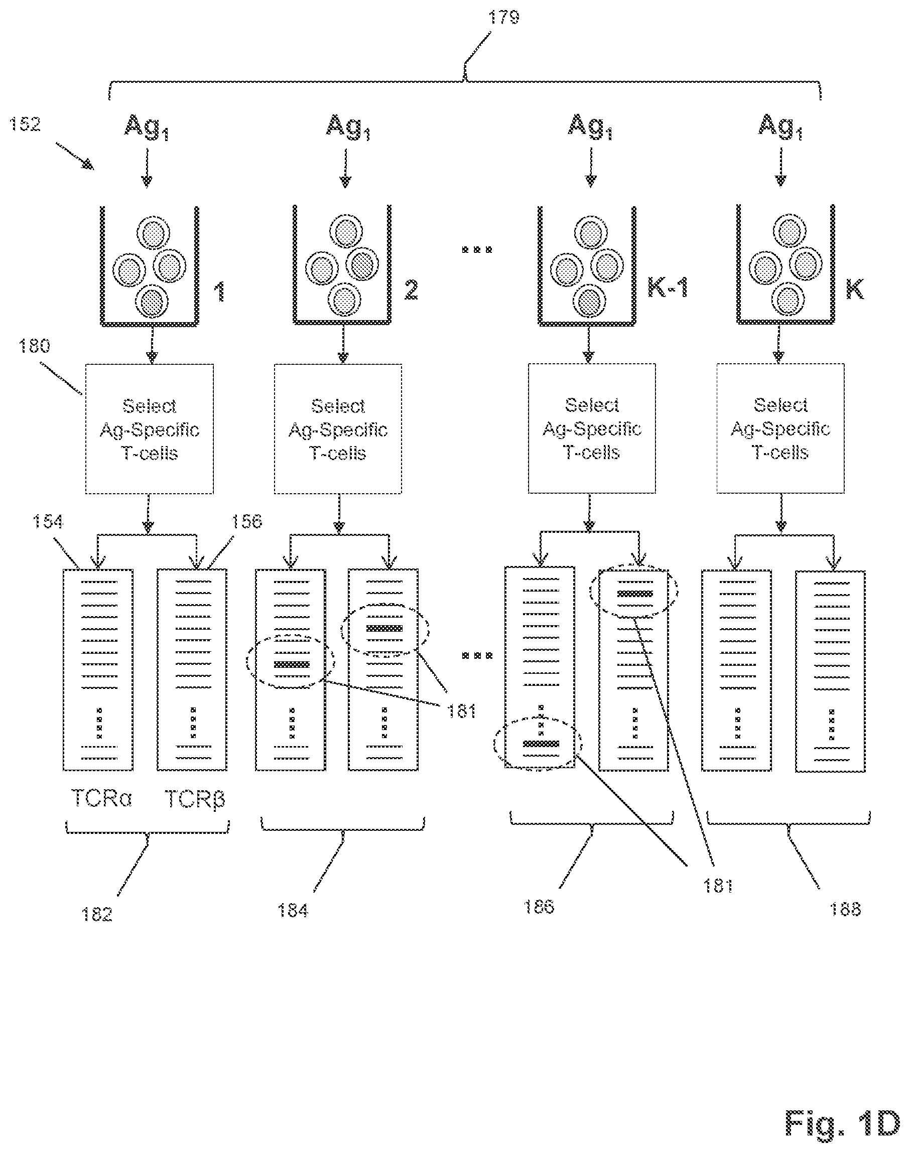Patent US12351872 Figure 4 – Determining antigen-specific T-cells