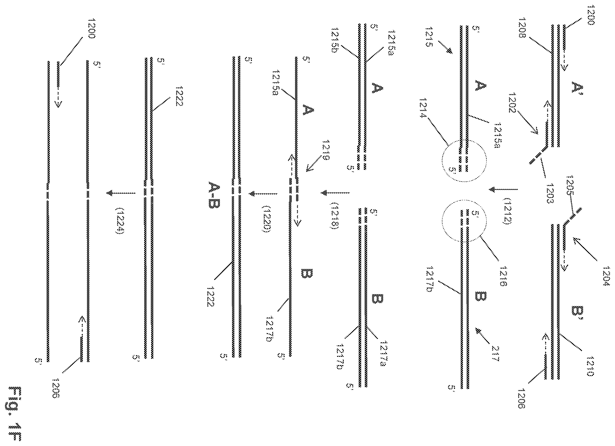 Patent US12351872 Figure 6 – Determining antigen-specific T-cells