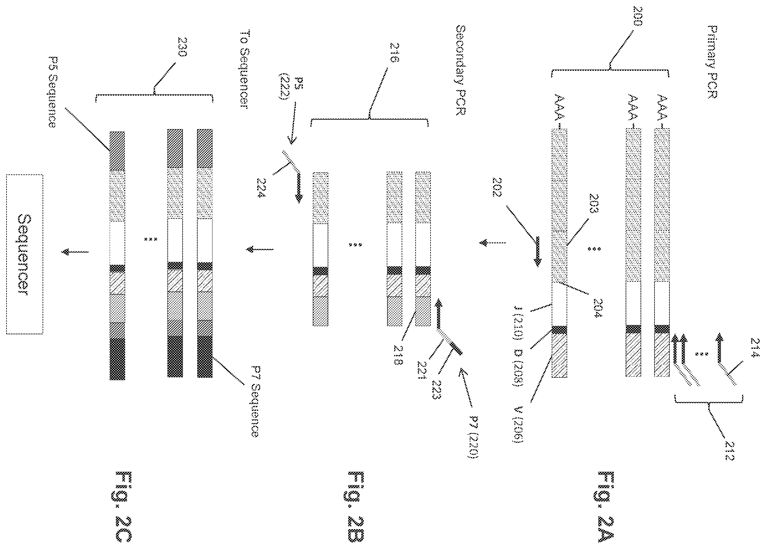Patent US12351872 Figure 7 – Determining antigen-specific T-cells