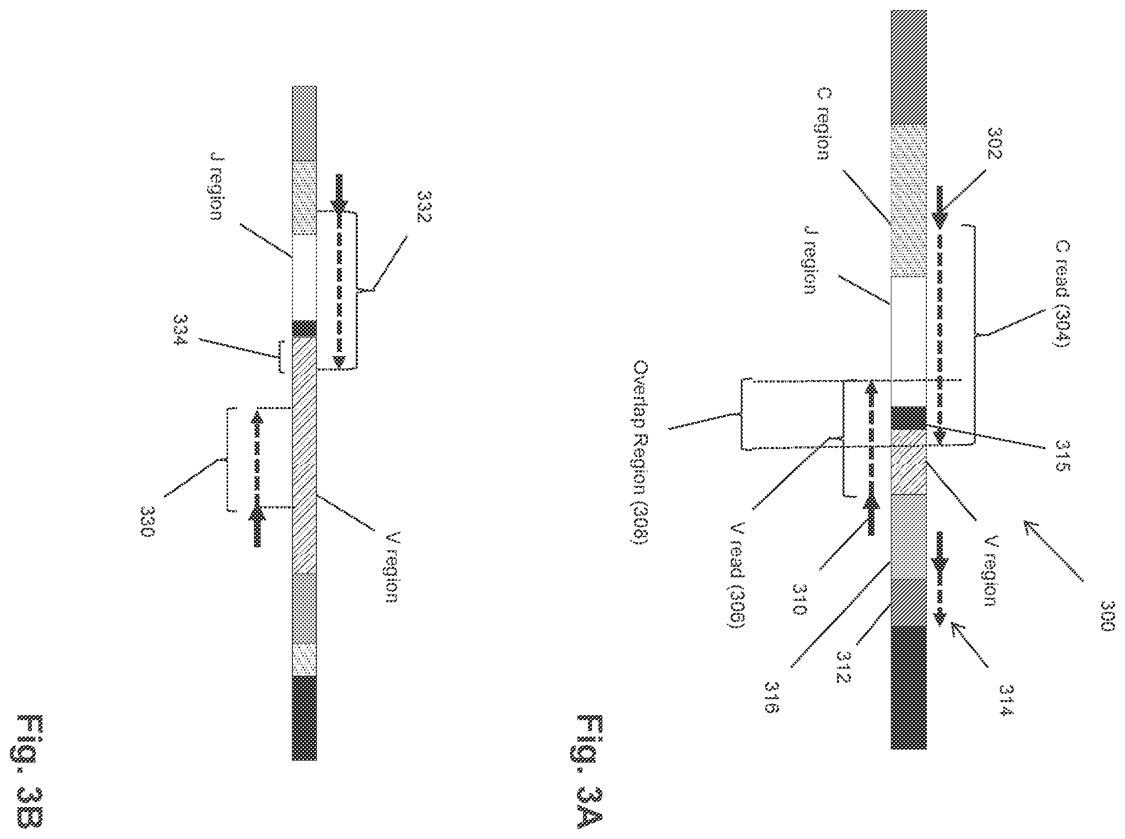 Patent US12351872 Figure 8 – Determining antigen-specific T-cells