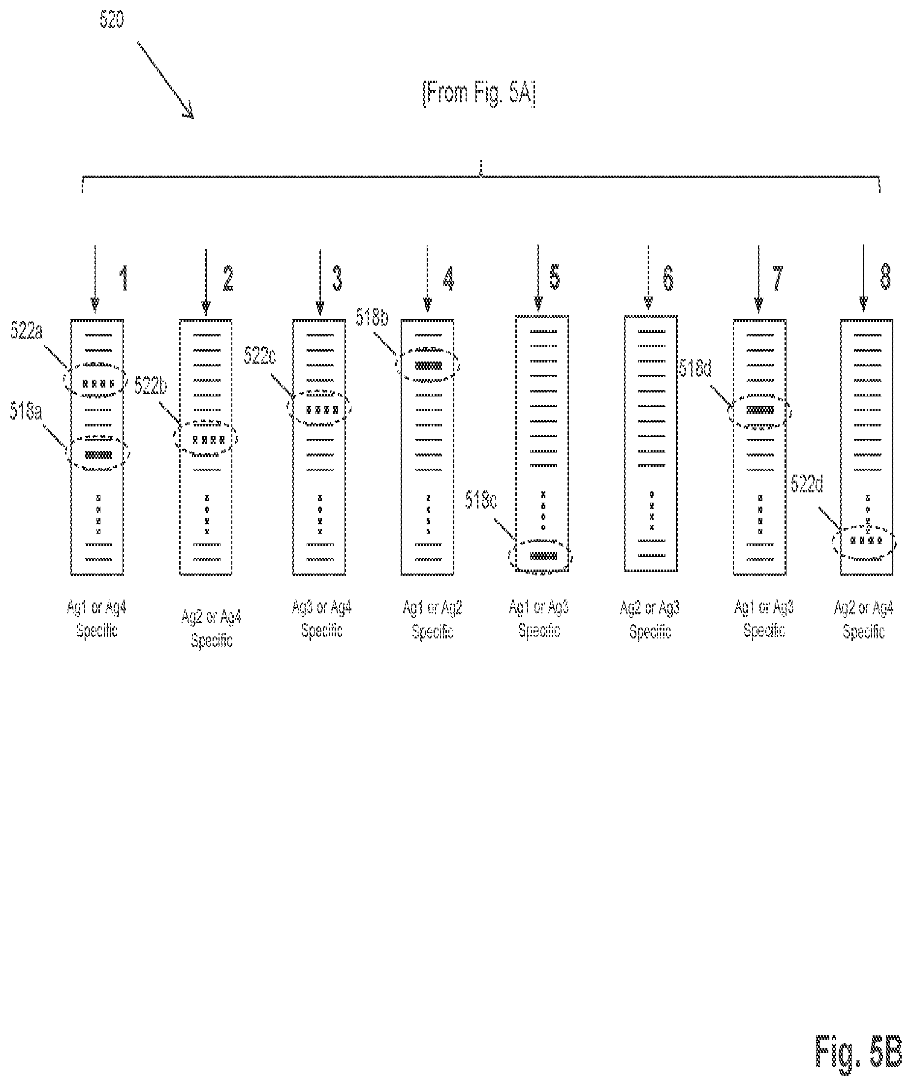 Patent US12351872 Figure 11 – Determining antigen-specific T-cells