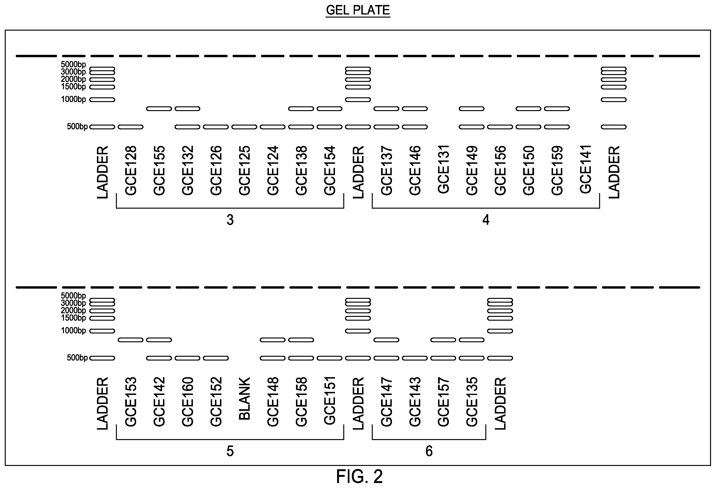 Patent US12351873 Figure 2 – Method for treatment of hypertension